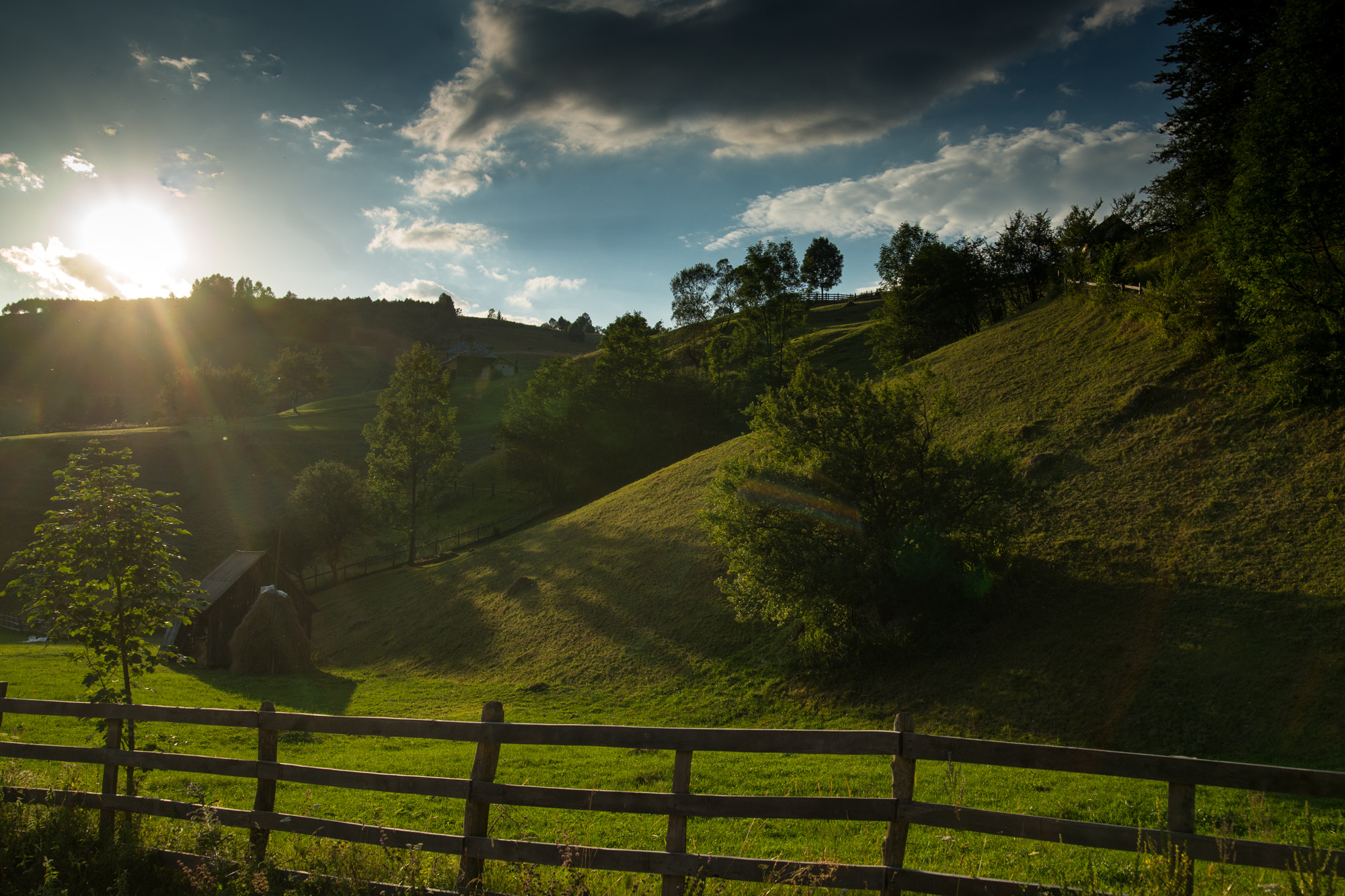 Sony a99 II sample photo. Golden hour lens flare photography