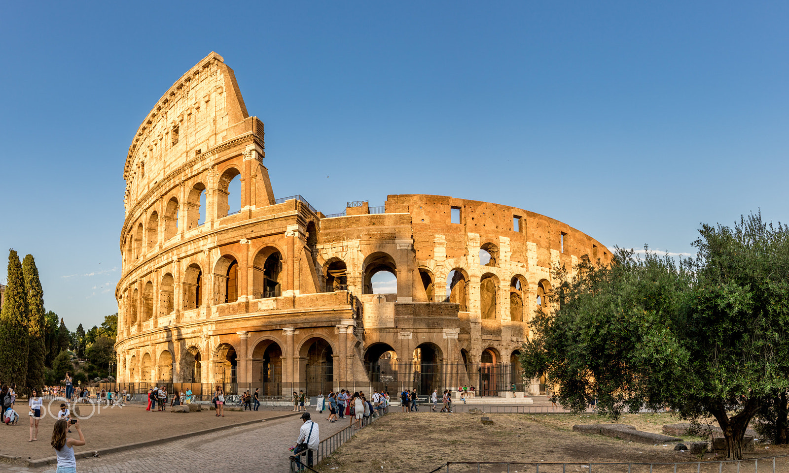 Sigma 24mm F1.4 DG HSM Art sample photo. The colosseum photography