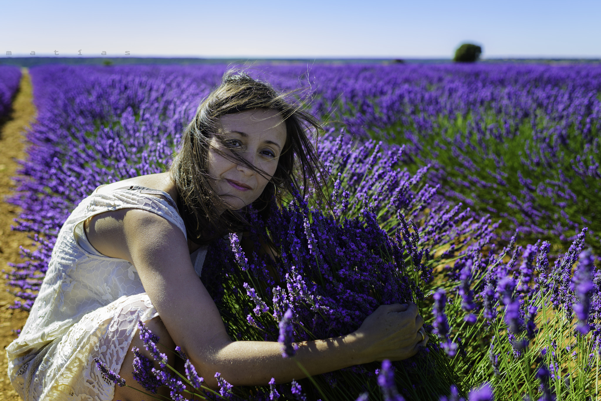 Nikon D800E + Nikon AF-S Nikkor 35mm F1.4G sample photo. Abrazando la lavanda. photography