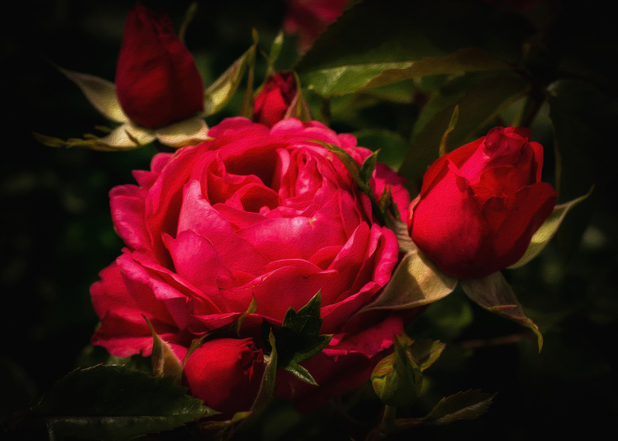 Nikon AF-S DX Micro Nikkor 40mm F2.8 sample photo. The colour red photography
