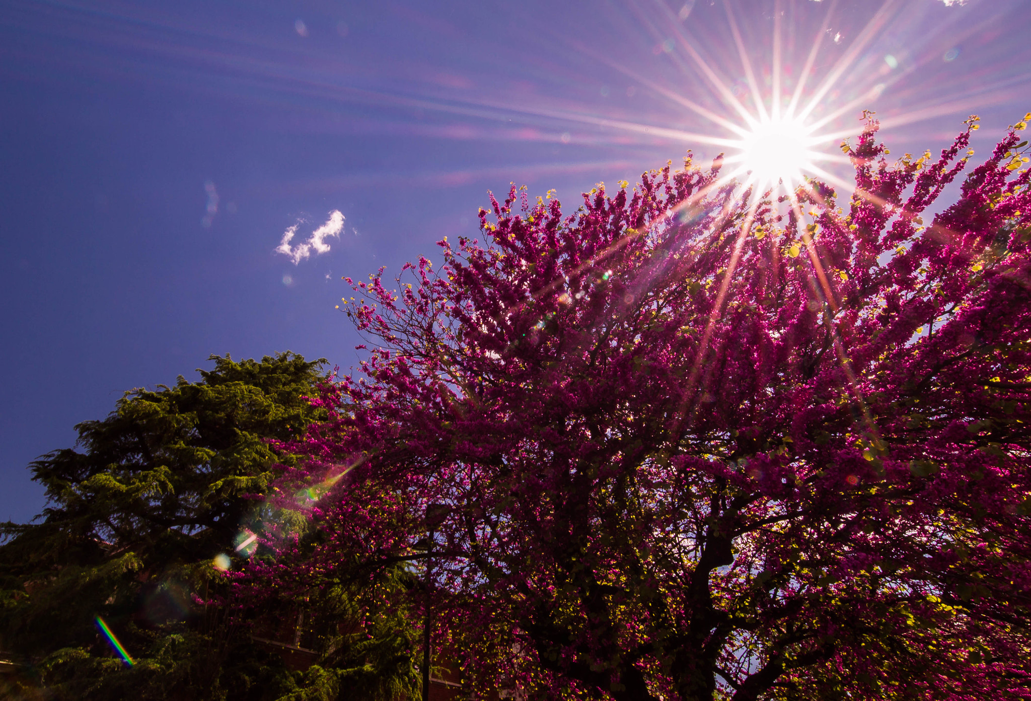Nikon D3100 sample photo. My sunday... photography