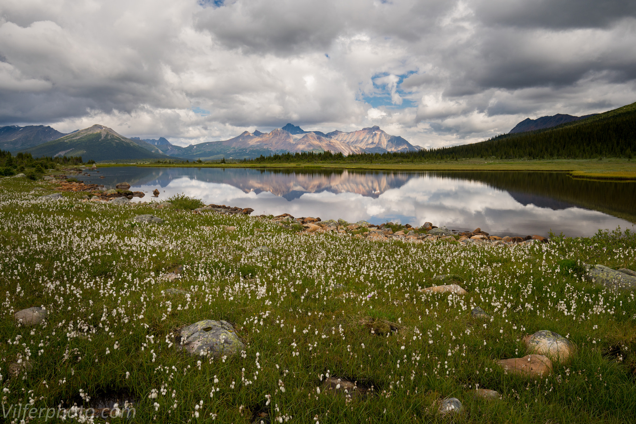 Sony a7R II + Canon EF 16-35mm F4L IS USM sample photo. Tonquin pond photography