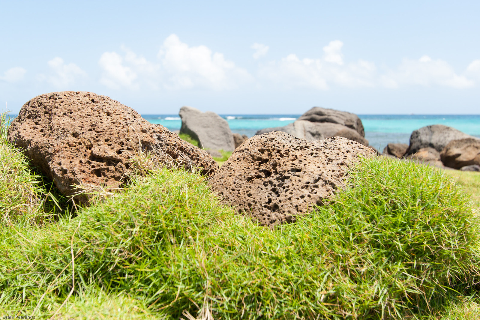 Canon EF-S 10-22mm F3.5-4.5 USM sample photo. Grass close-up at coast of corn island, nicaragua photography