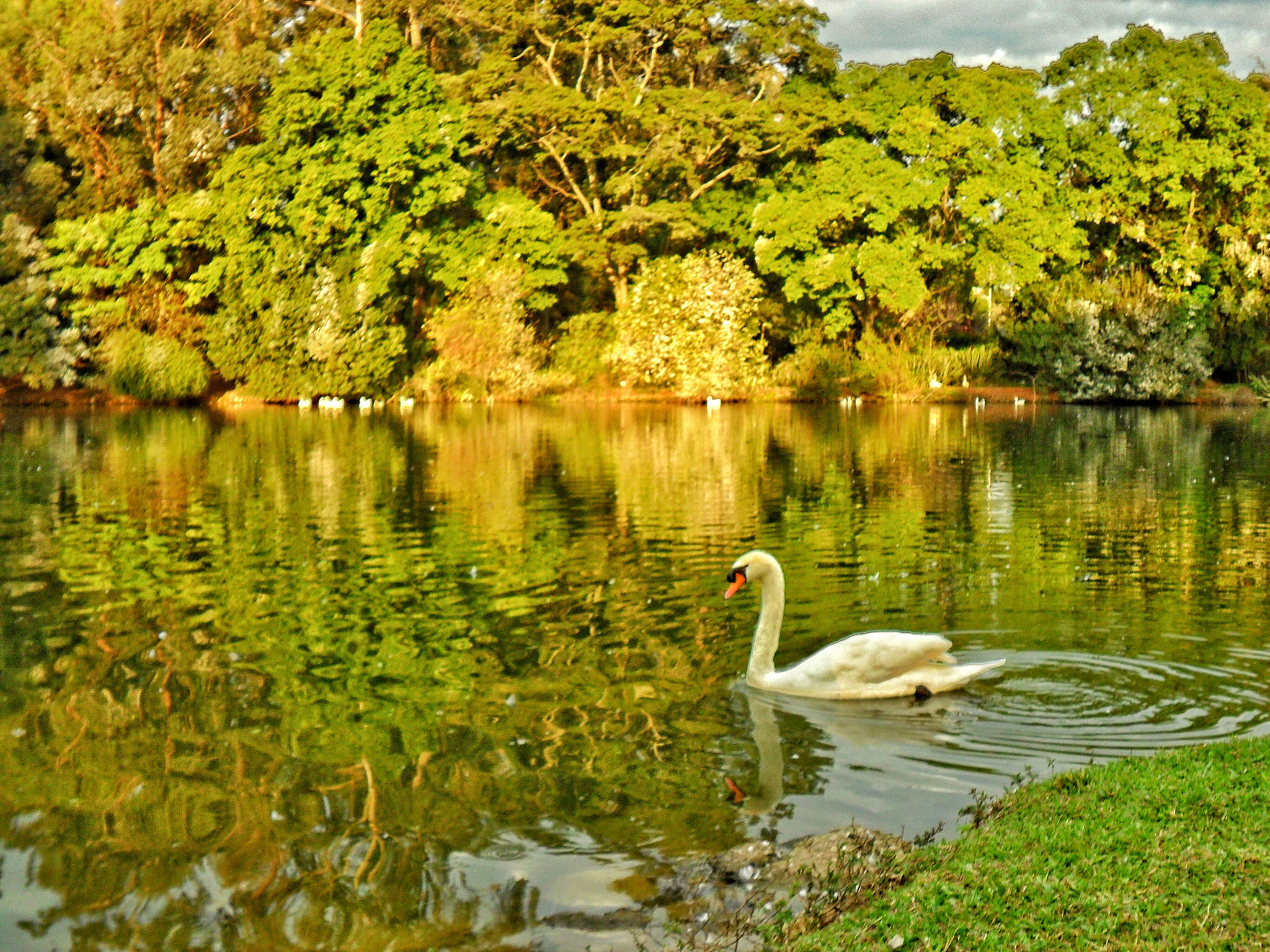 Samsung ES70, ES71 / VLUU ES70, ES71 /  SL600 sample photo. Ibirapuera park photography