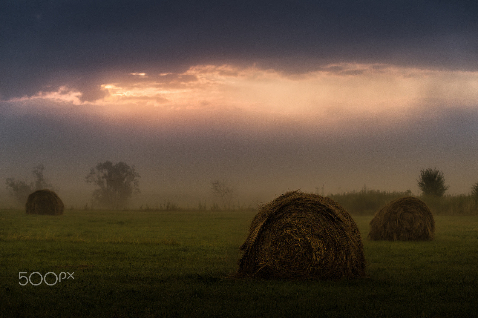Nikon AF-S Nikkor 70-200mm F4G ED VR sample photo. After the rain photography