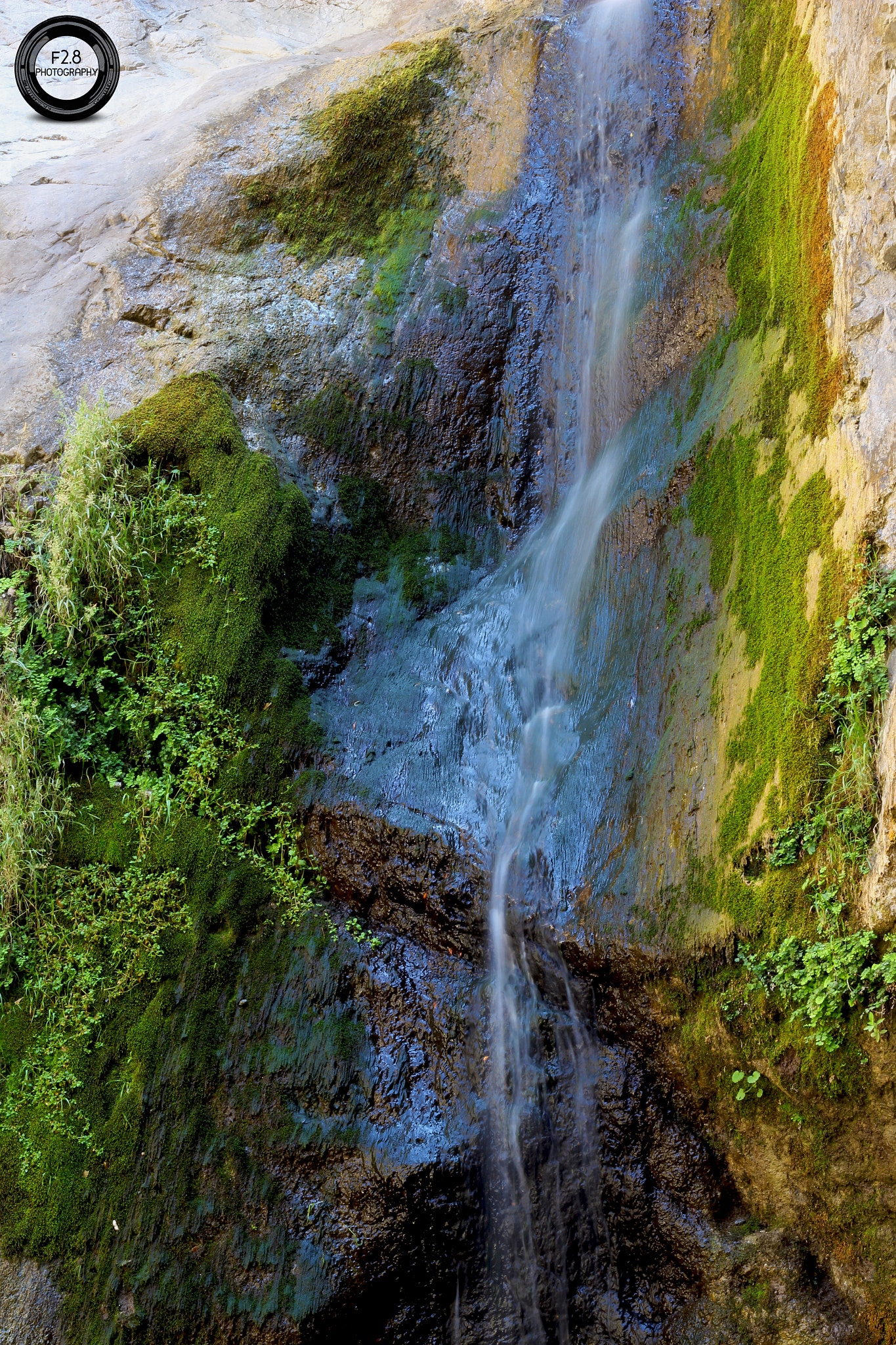 Canon EOS 100D (EOS Rebel SL1 / EOS Kiss X7) + Canon EF 50mm F1.8 II sample photo. Eatoncanyonfalls photography