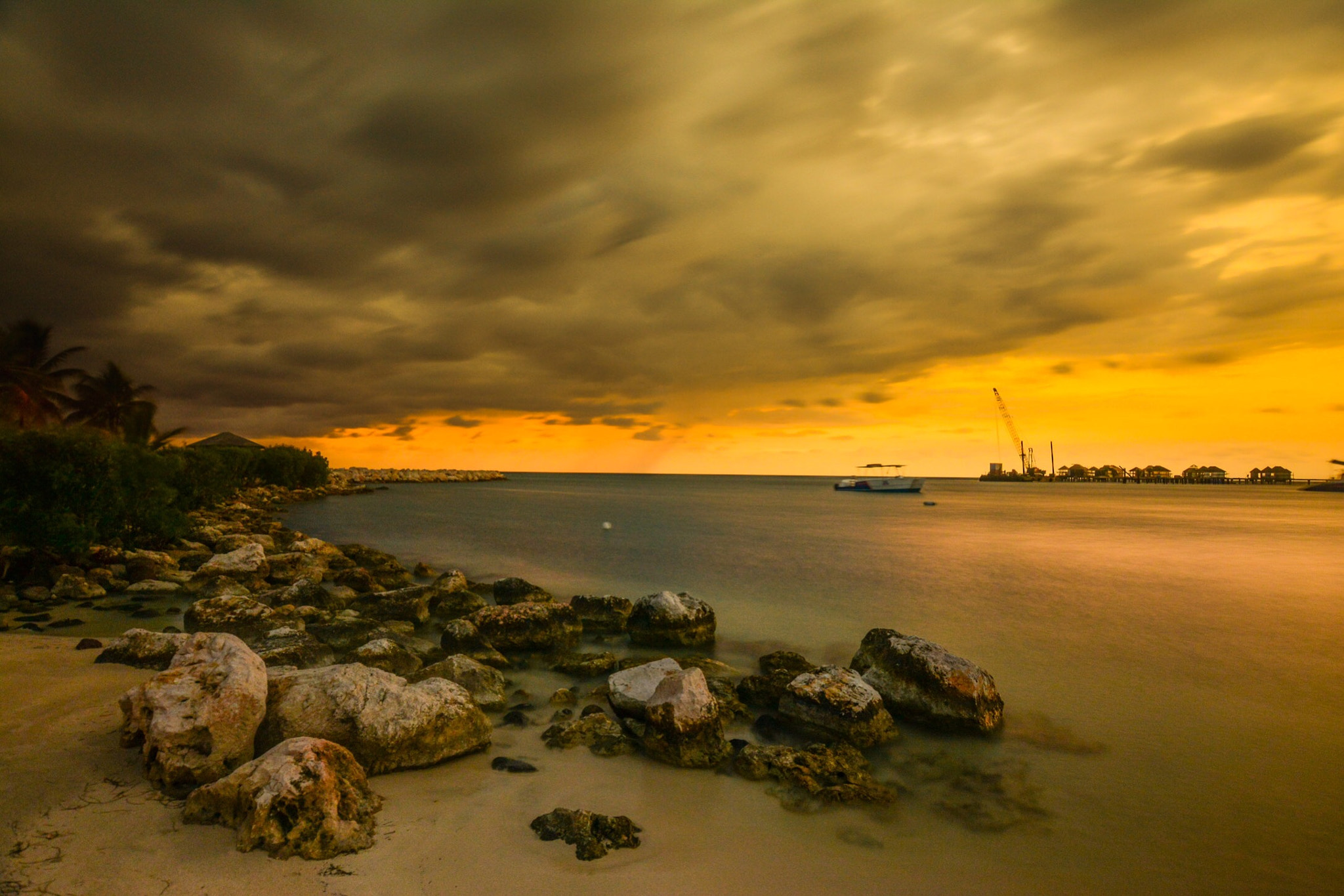 Tokina AT-X 11-20mm F2.8 PRO DX sample photo. Yellow photography