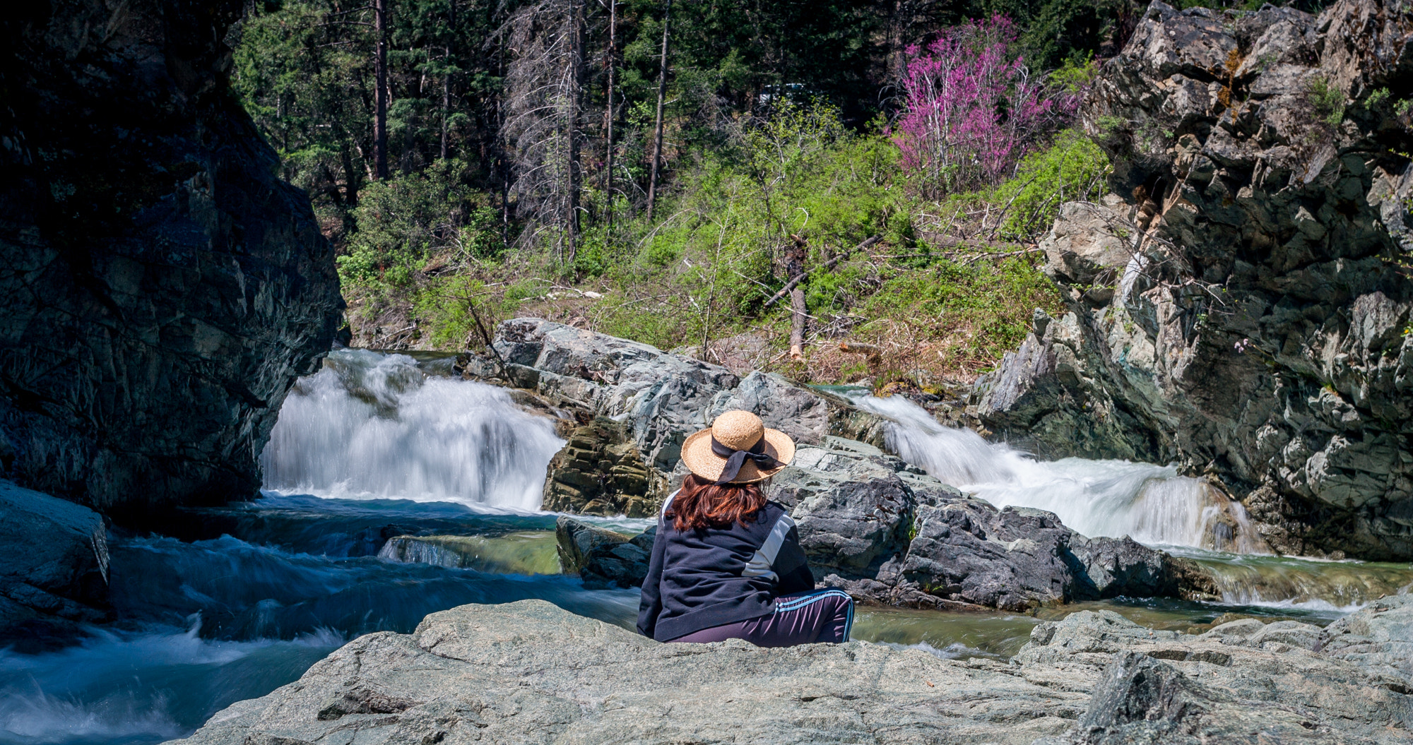 Canon EOS-1D Mark II sample photo. Twin falls photography