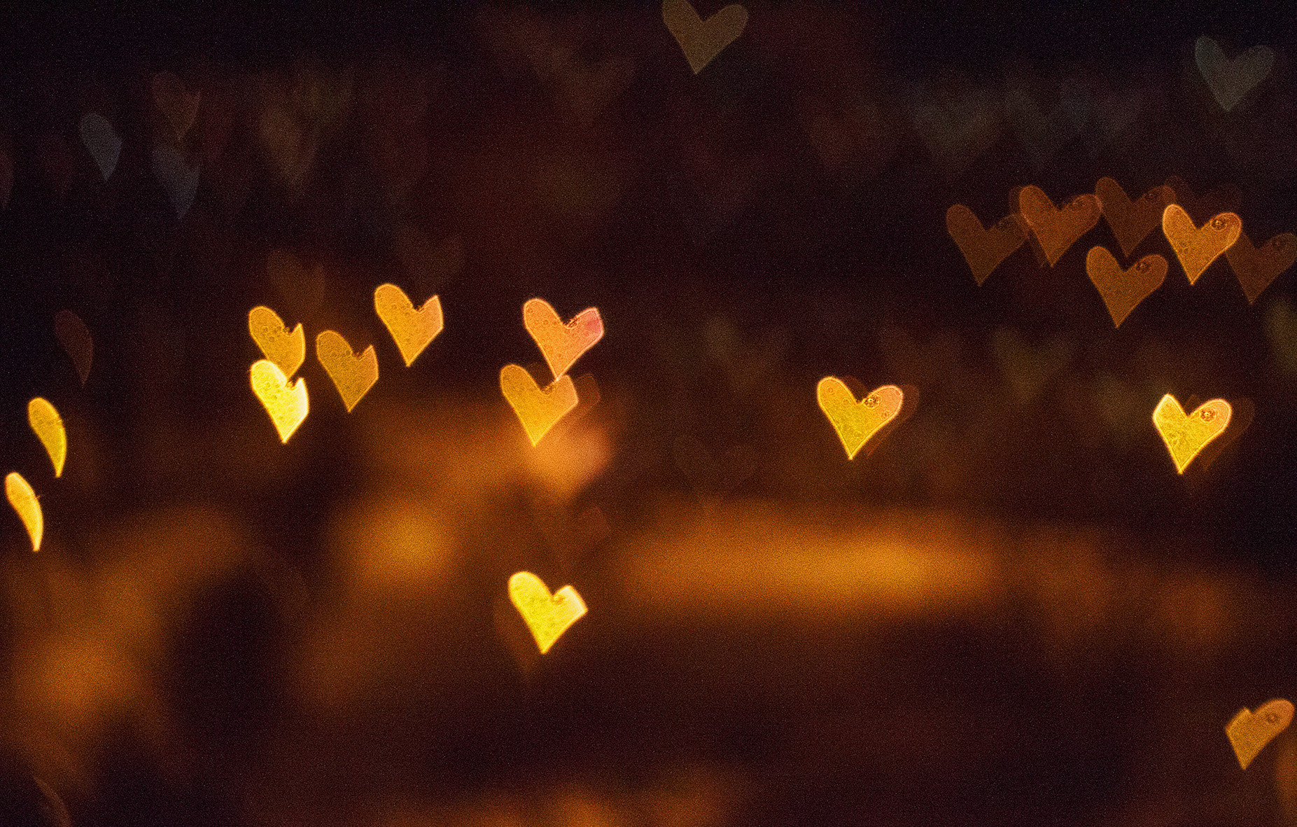 Canon EF 50mm F1.8 II sample photo. City light from bokeh photography