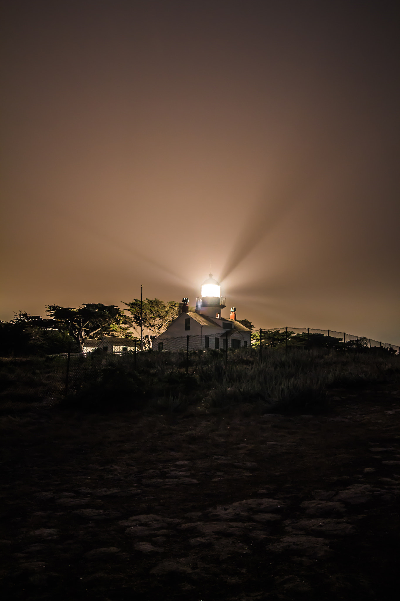 Sigma 10-20mm F4-5.6 EX DC HSM sample photo. Fog piercer photography