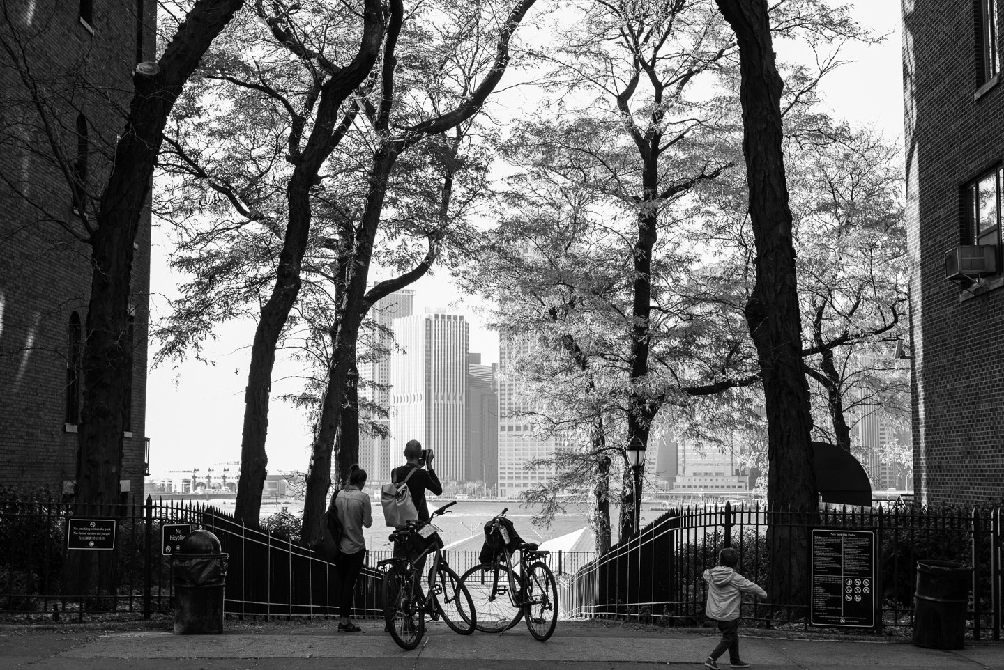Summicron-M 1:2/50 sample photo. New york in fall photography