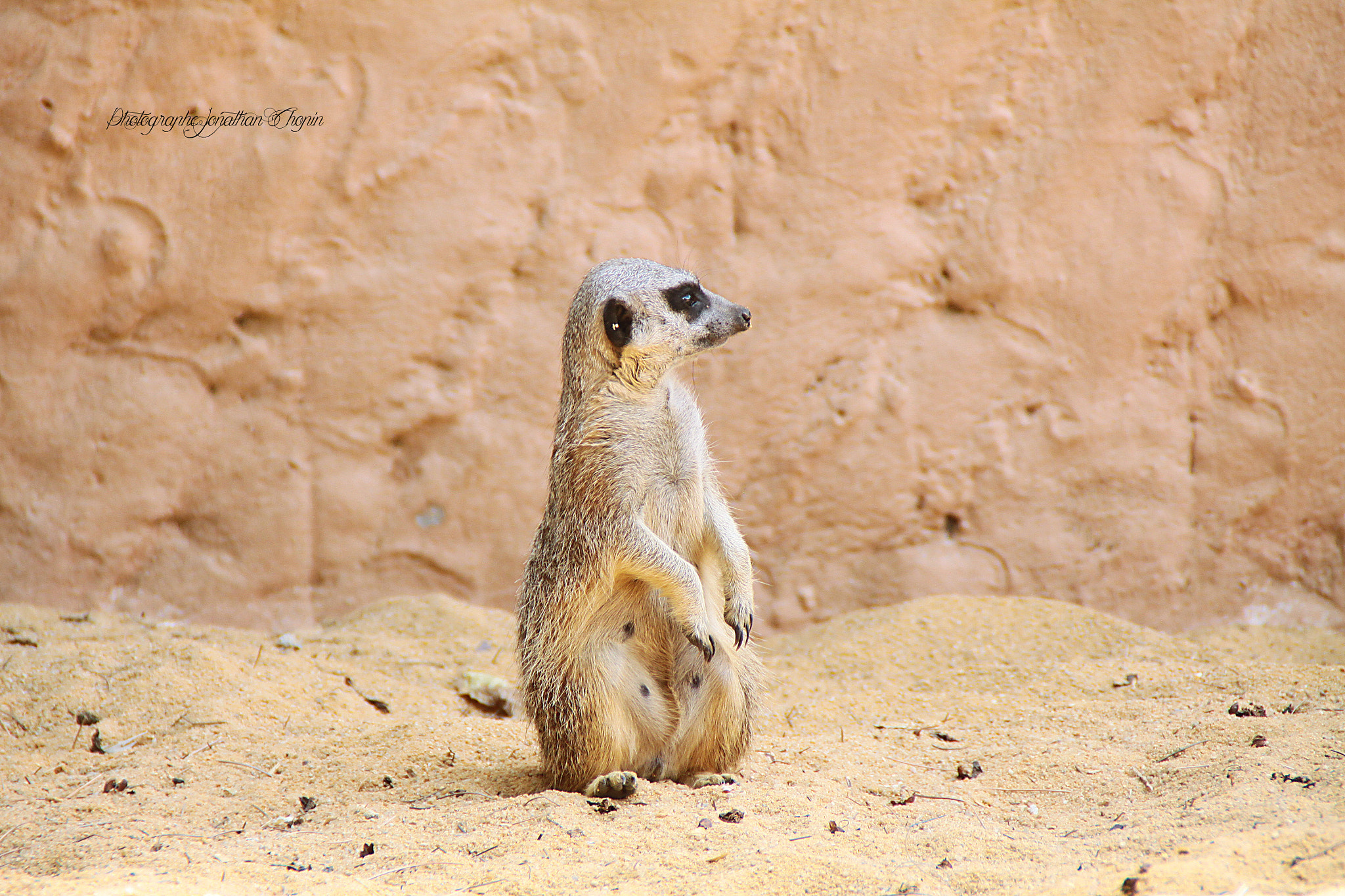 Canon EOS 50D sample photo. Zoo photography