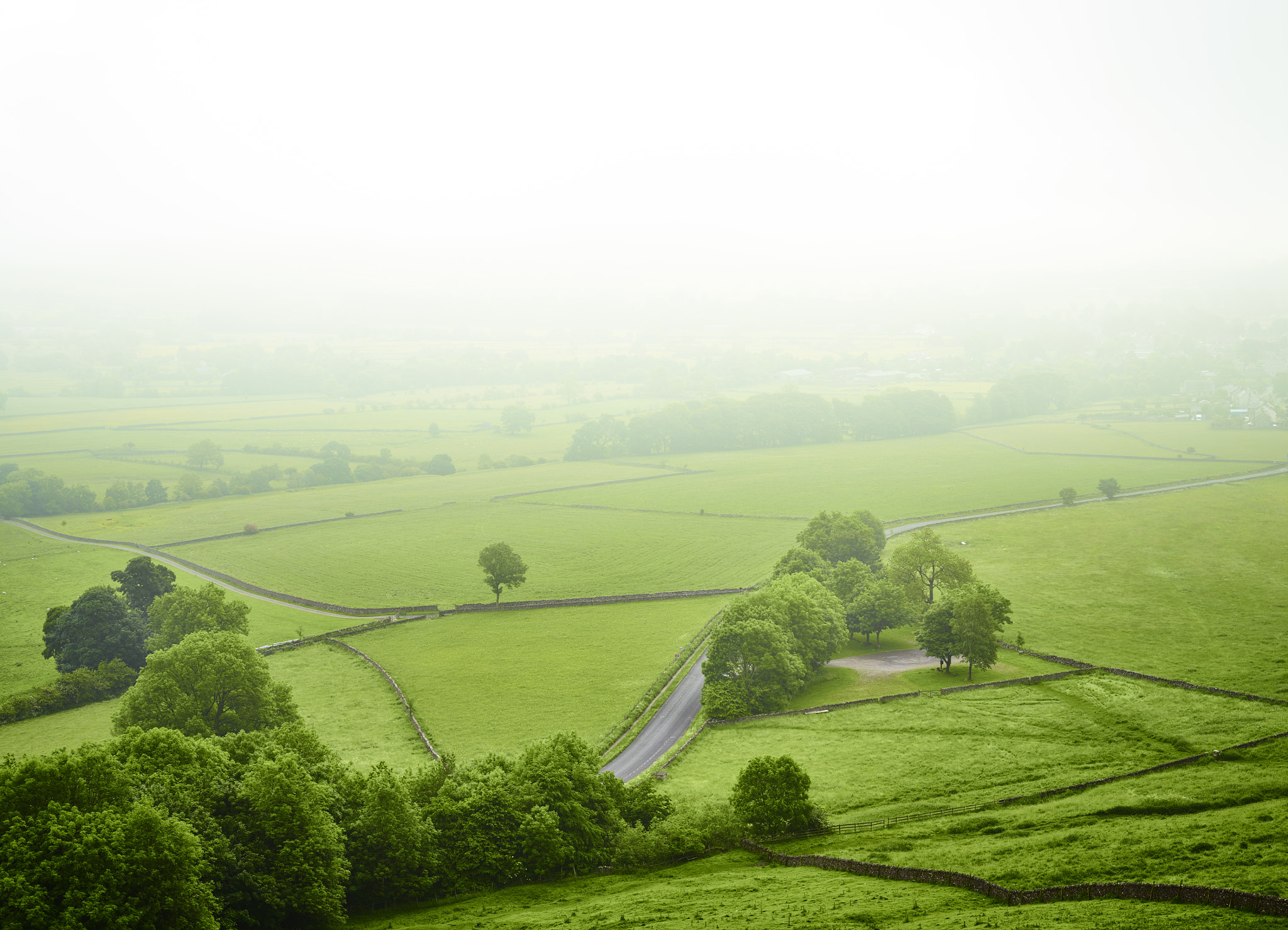 Schneider LS 80mm f/2.8 sample photo. Green country photography