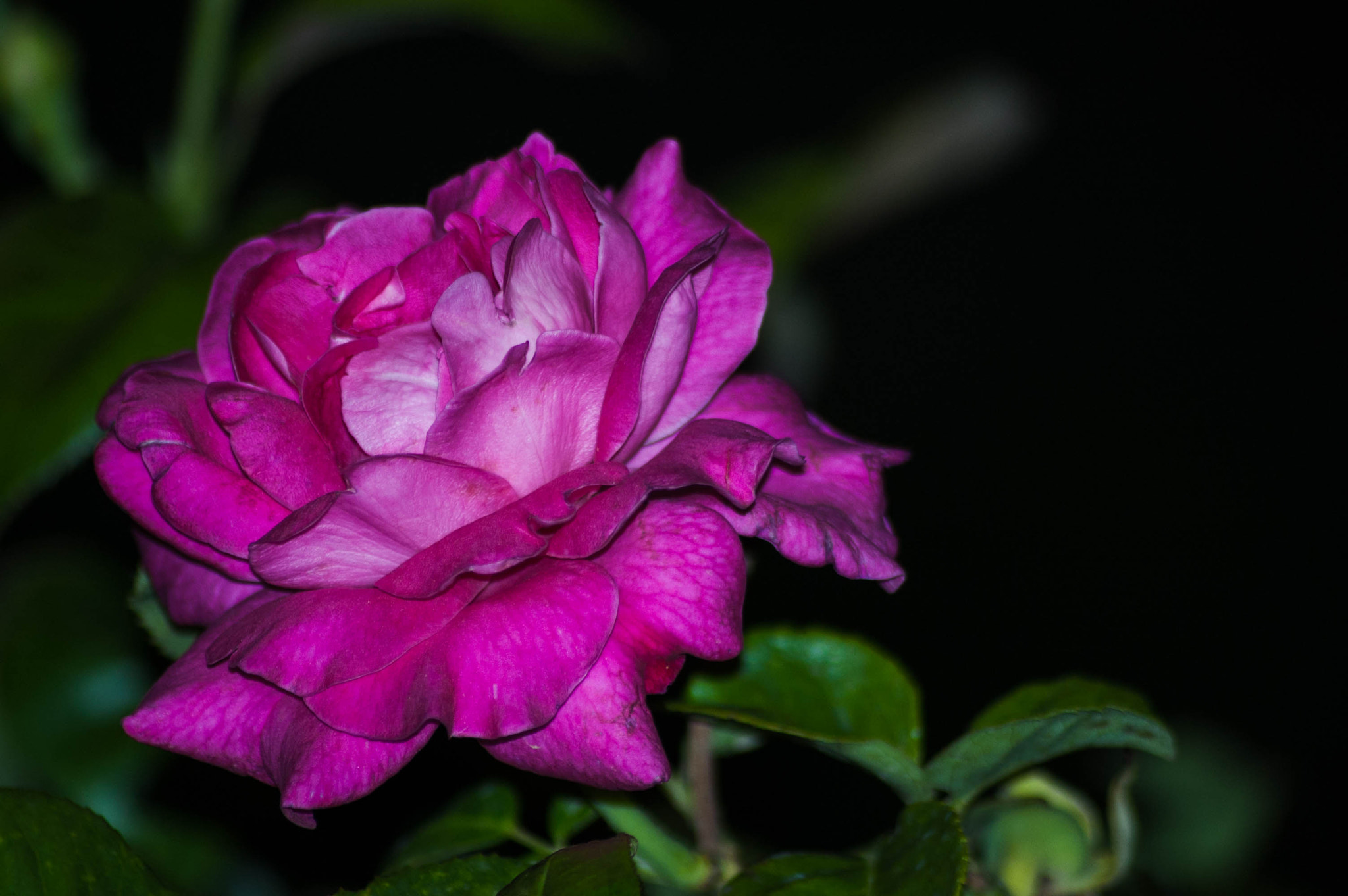 Sigma 70-300mm F4-5.6 APO DG Macro sample photo. Clarity on night photography