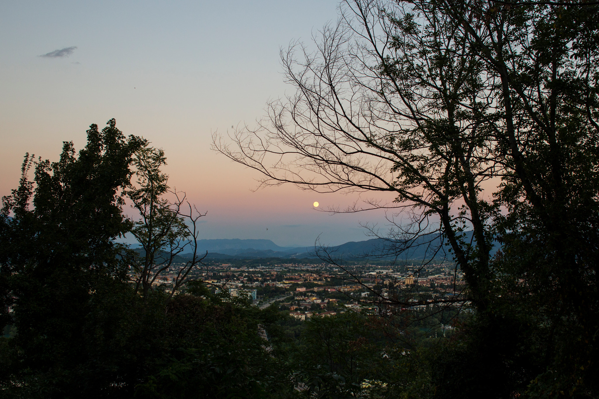 Canon EOS 6D + Canon EF 24mm F2.8 sample photo. Beauties of f.v.g. - gorizia photography