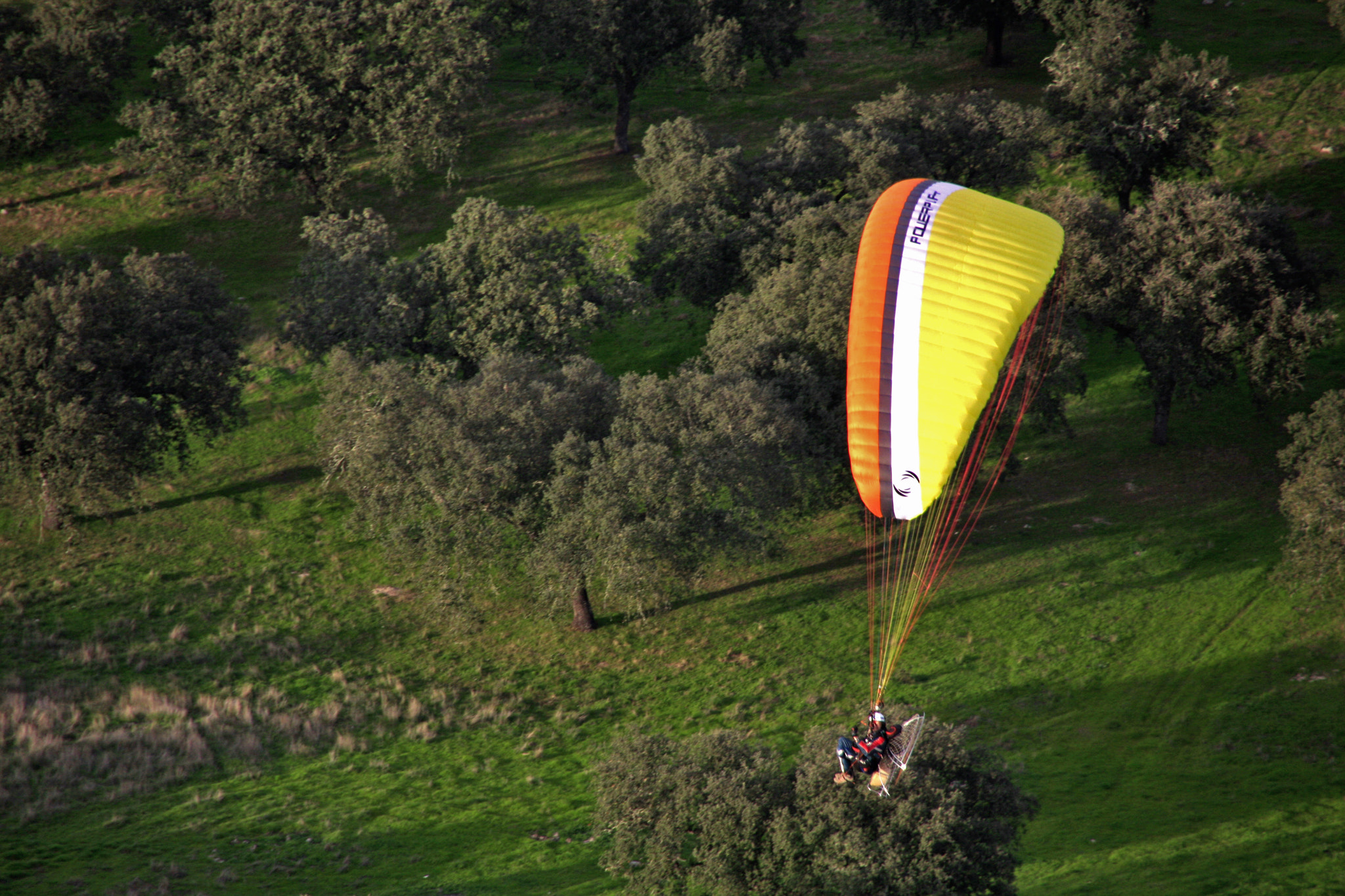 Canon EOS 40D + Tamron AF 18-270mm F3.5-6.3 Di II VC LD Aspherical (IF) MACRO sample photo. Paramotor photography