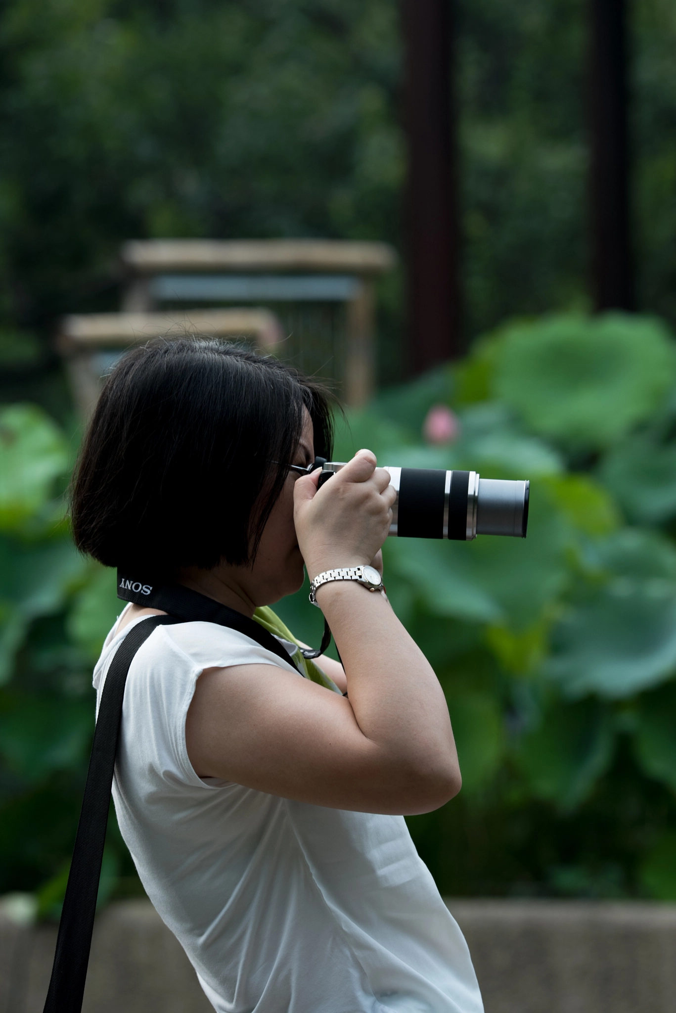 Nikon AF-S Nikkor 200mm F2G ED VR II sample photo. 角度不错 photography