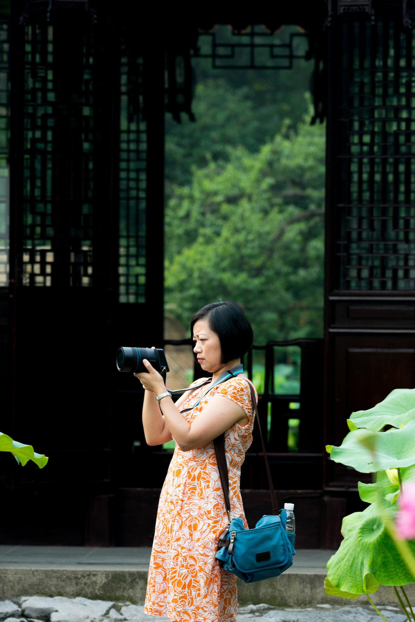 Nikon AF-S Nikkor 200mm F2G ED VR II sample photo. 细心对焦 photography
