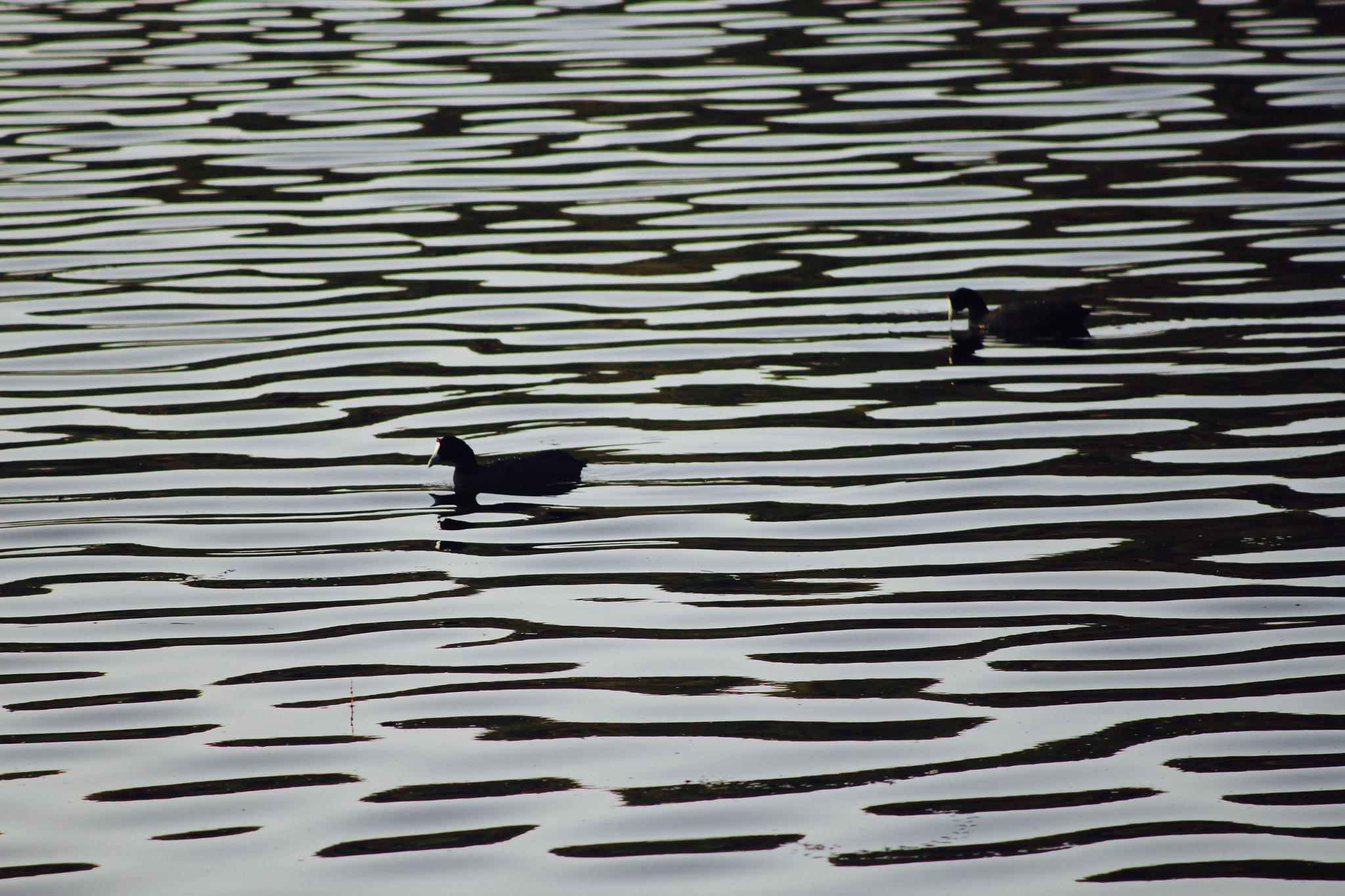 Canon EF 80-200mm F4.5-5.6 II sample photo. Waves.. photography