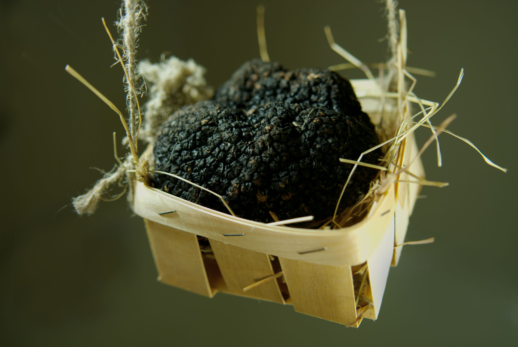 Nikon D200 sample photo. Truffle swing.jpg photography