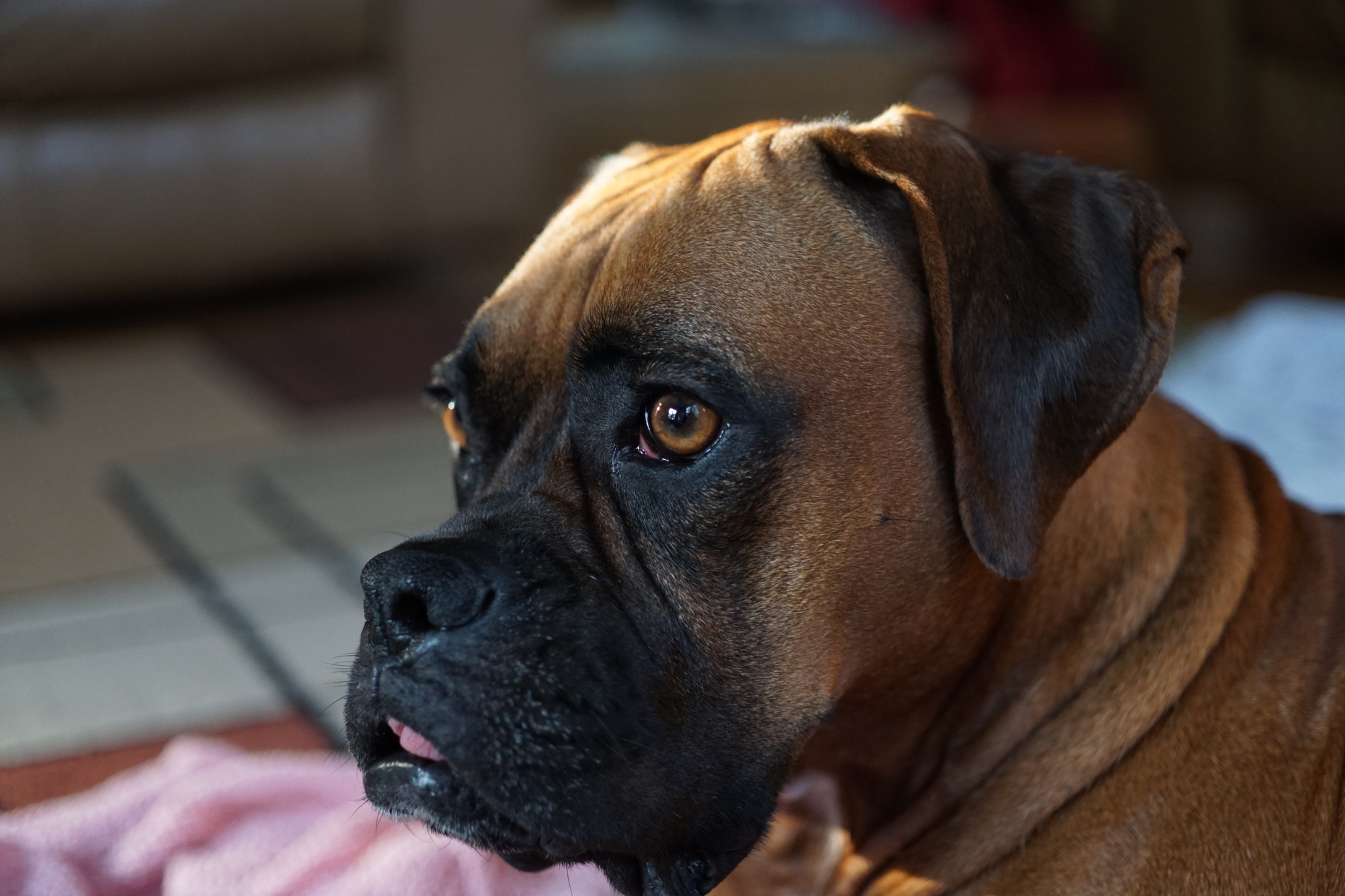 ZEISS Touit 32mm F1.8 sample photo
