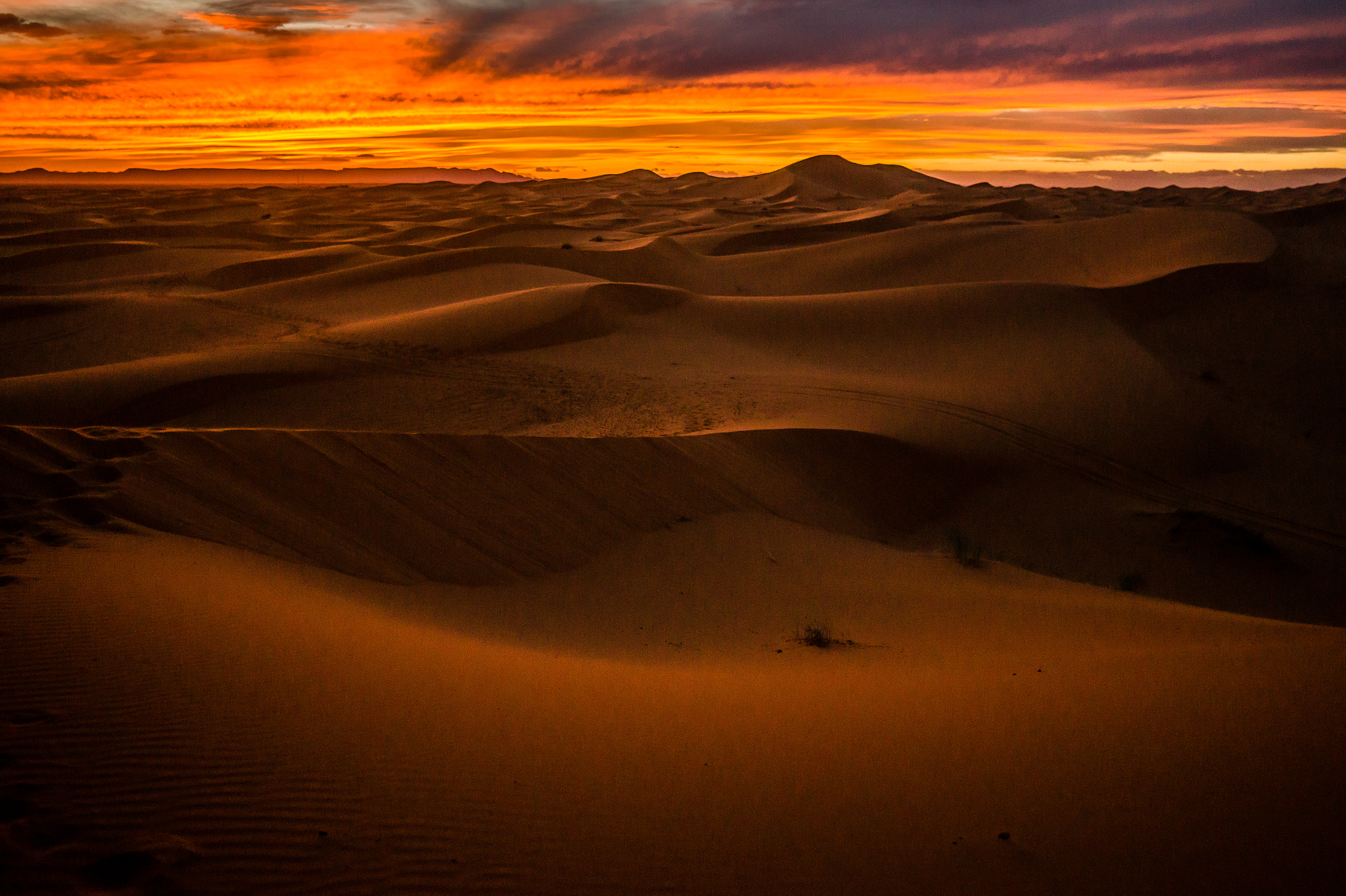 Sony Alpha a5000 (ILCE 5000) + Sigma 19mm F2.8 EX DN sample photo. Sahara photography