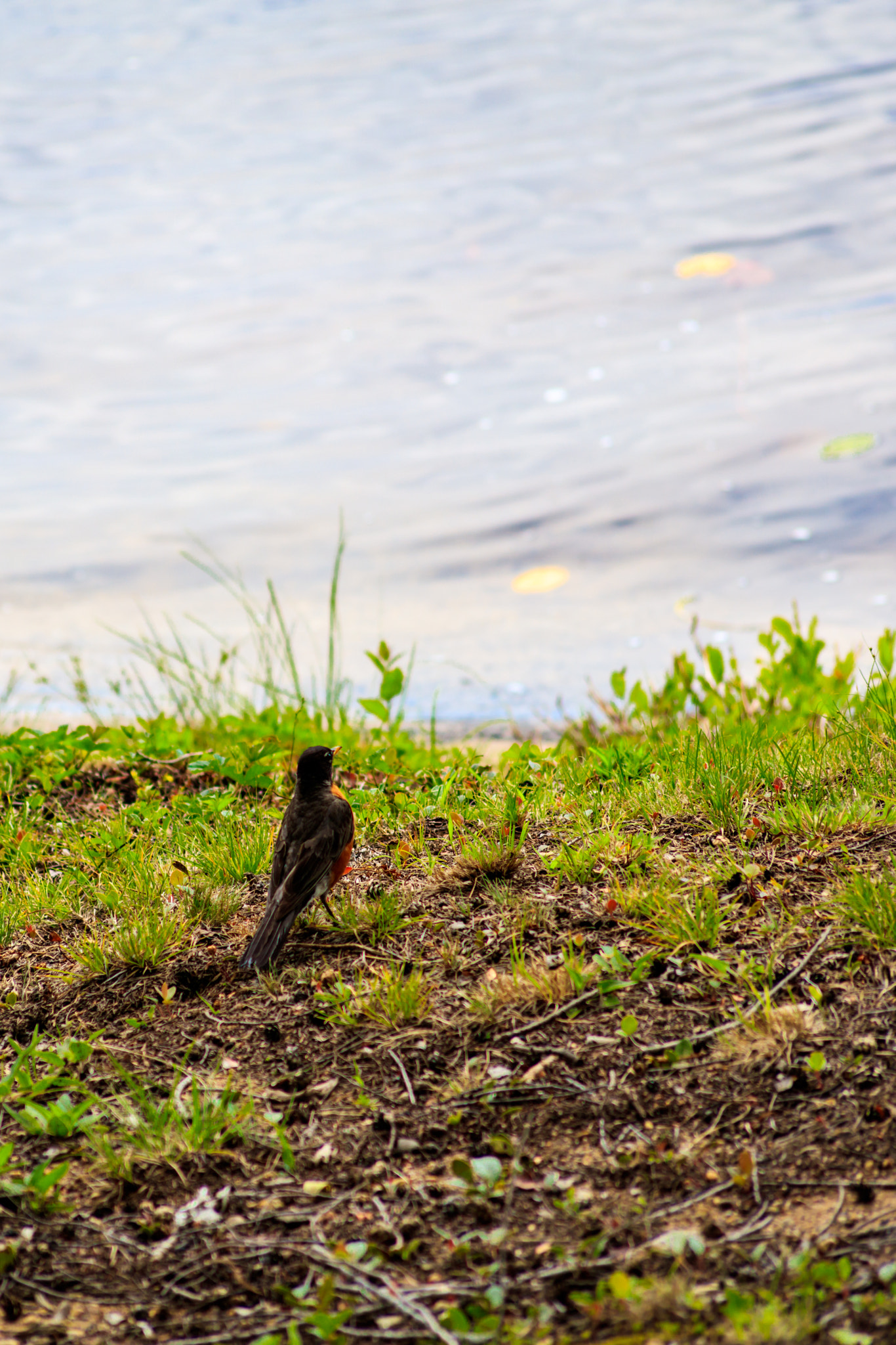 Canon EOS 5DS R sample photo. 20160723-_71a1610.jpg photography