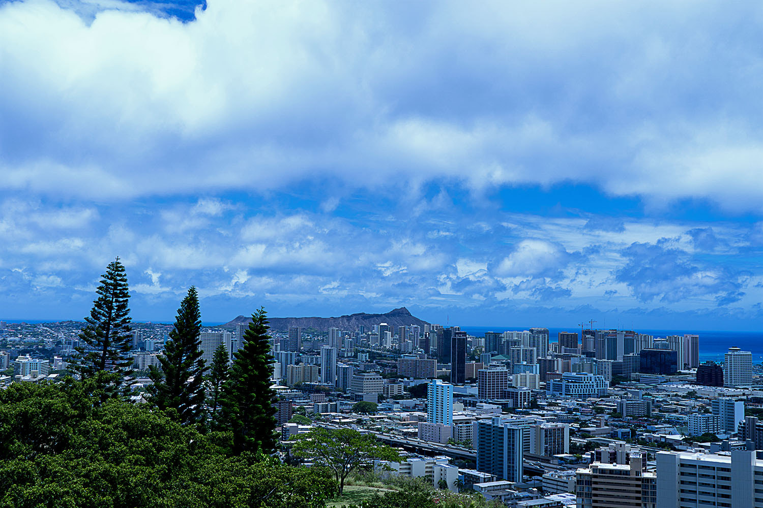 Sony FE 28mm F2 sample photo. Diamond head pine trees photography