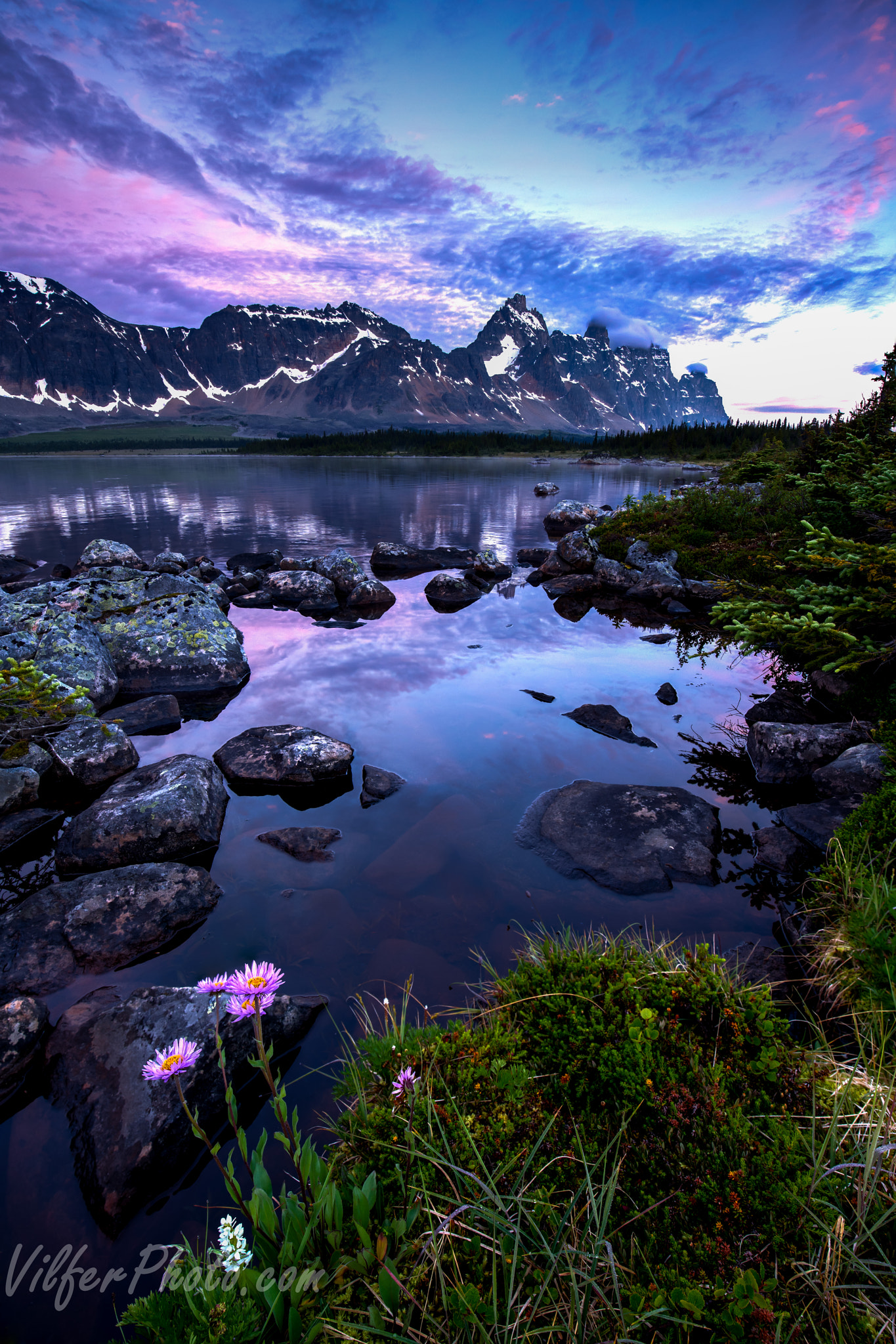 Sony a7R II + Canon EF 16-35mm F4L IS USM sample photo. Tonquin valley sunrise photography