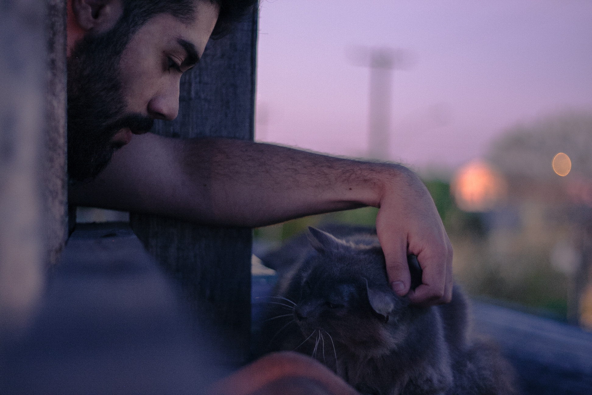 Canon EOS 40D + Canon EF 50mm F1.8 II sample photo. Roger oliver and eros, the cat. photography