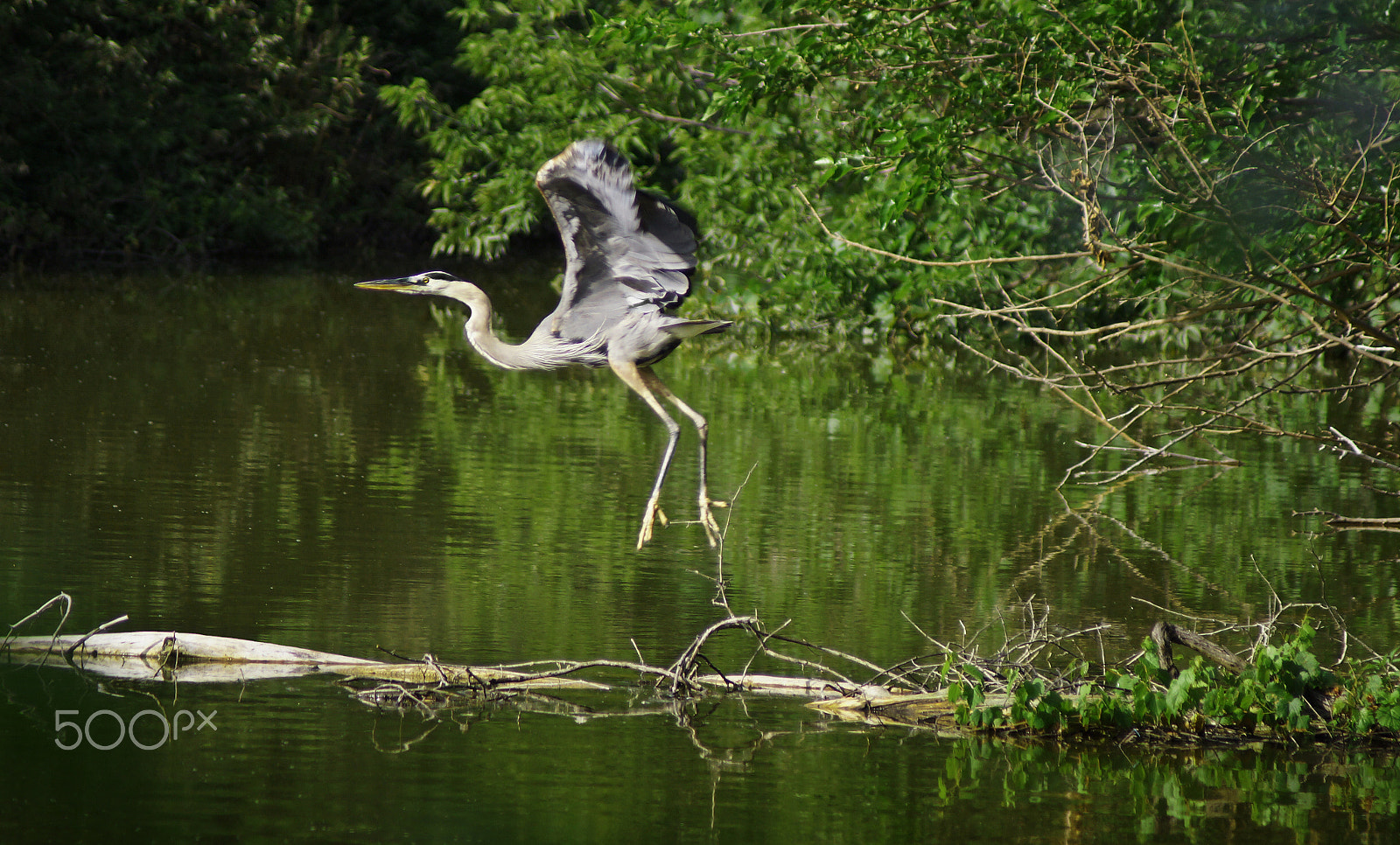 Sony 75-300mm F4.5-5.6 sample photo. Gone fishing photography
