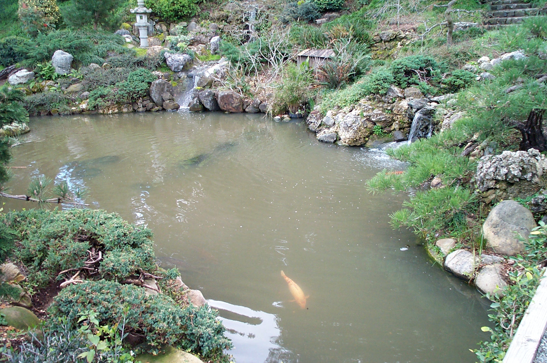 Kodak DC280 ZOOM DIGITAL CAMERA sample photo. Koi pond, hakone gardens, california on an overcast day photography