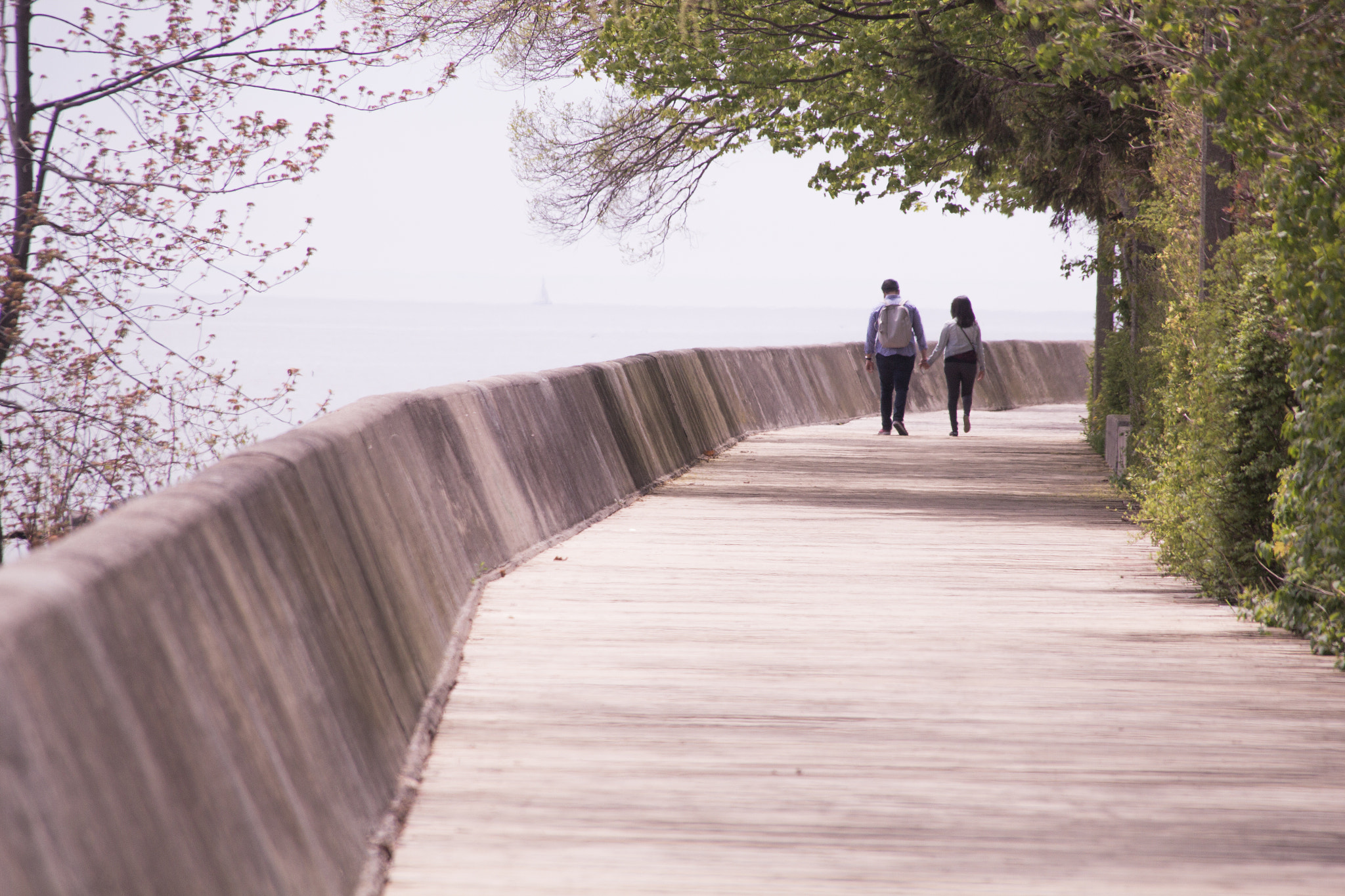 Sigma 18-200mm f/3.5-6.3 DC OS sample photo. In this life, we will walk this path together photography