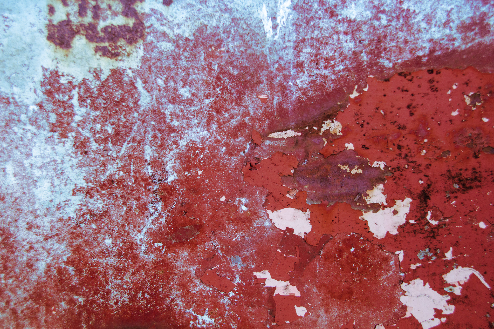 Sigma 18-200mm f/3.5-6.3 DC OS sample photo. Bleed and rust photography