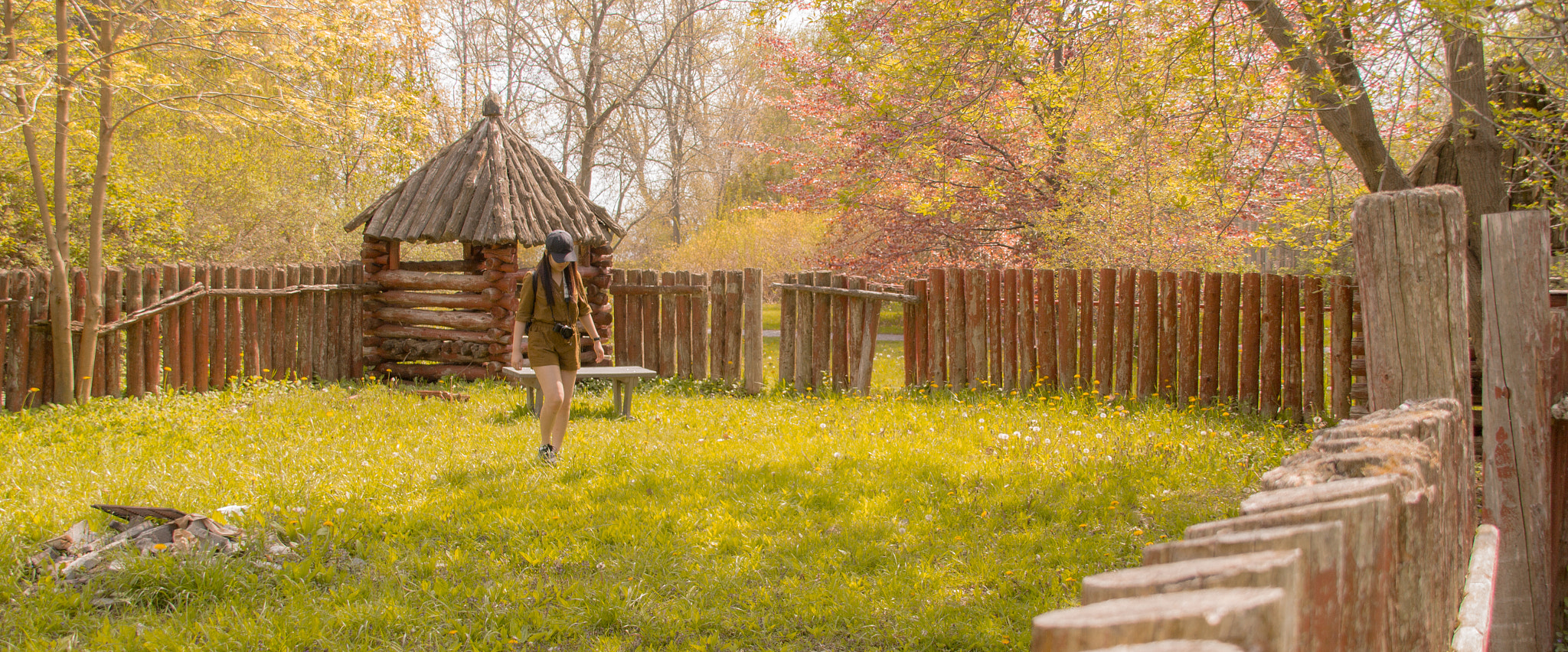 Sigma 18-200mm f/3.5-6.3 DC OS sample photo. Wood you like some company? photography