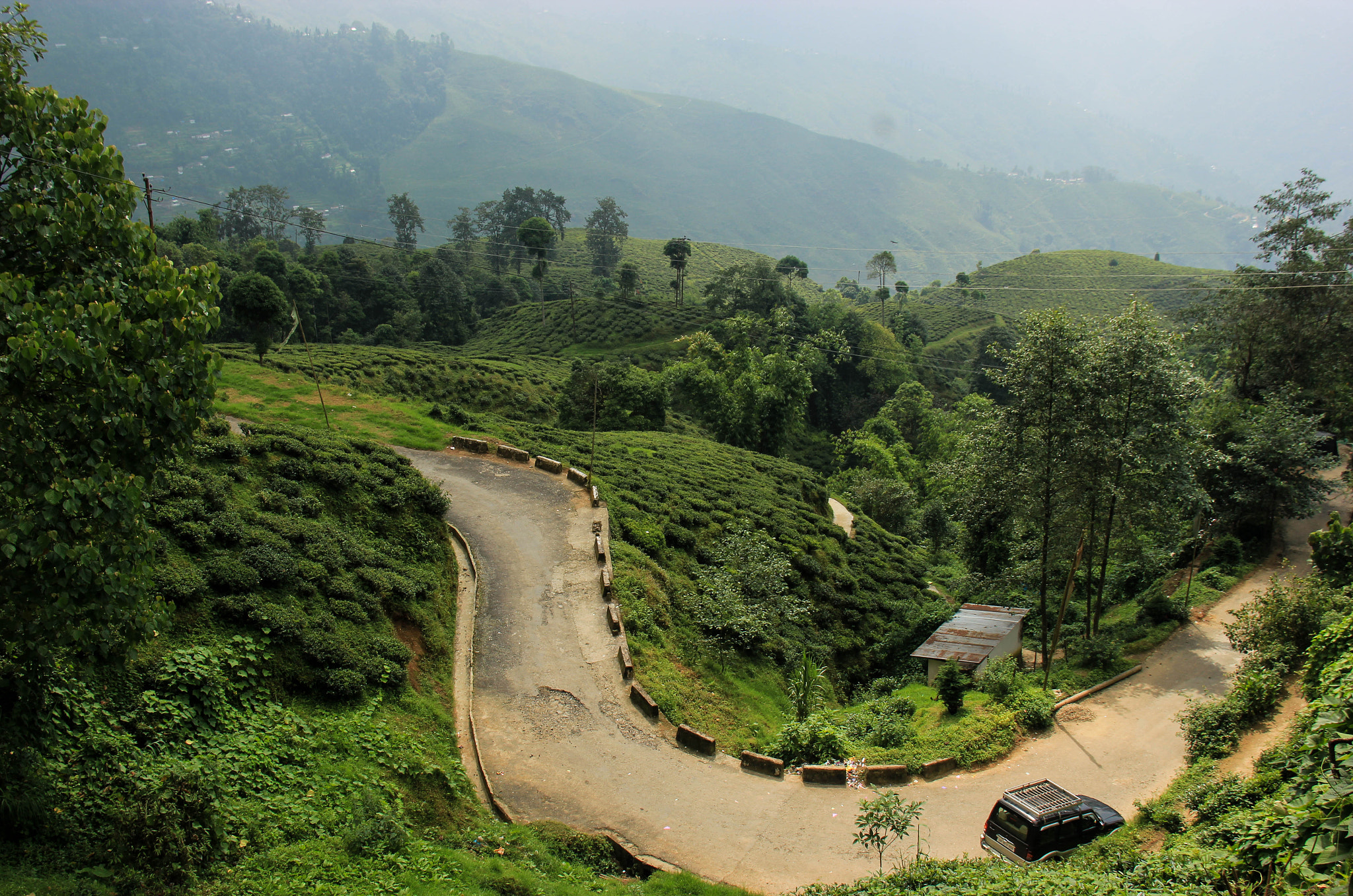Darjeeling Tea Gardens by Asha Douglas / 500px