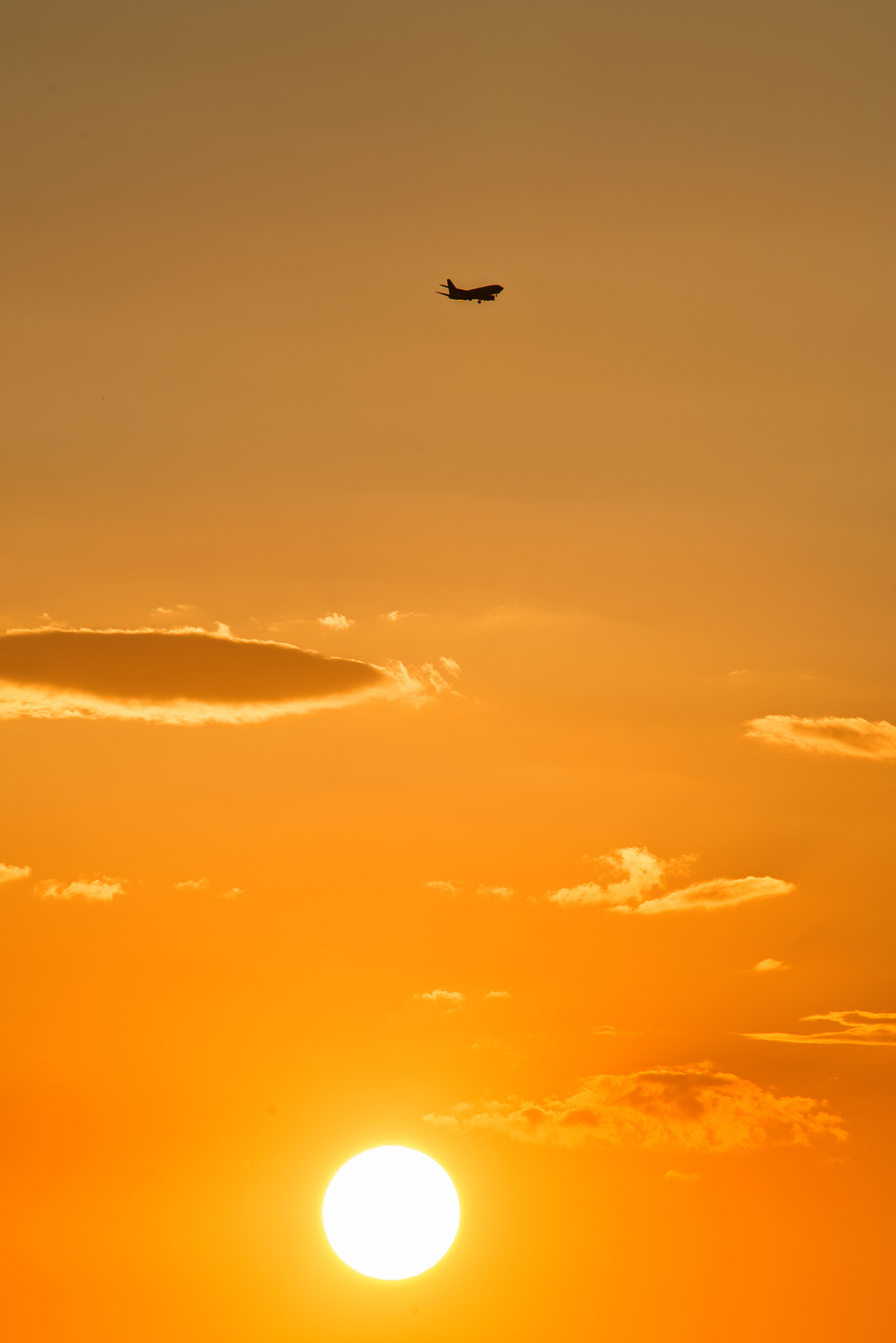 Nikon D800E sample photo. 夕阳下的飞机 photography