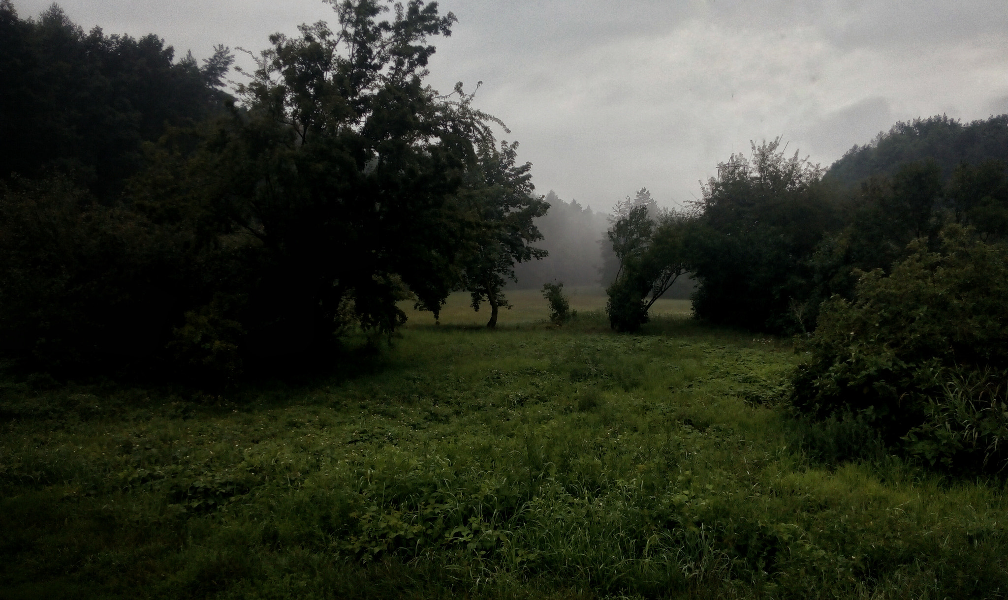 Lenovo P70-A sample photo. Morning haze photography
