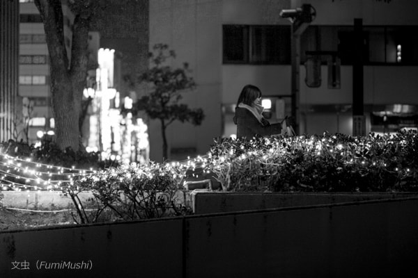 Canon EF 100mm F2.8L Macro IS USM sample photo. My town photography