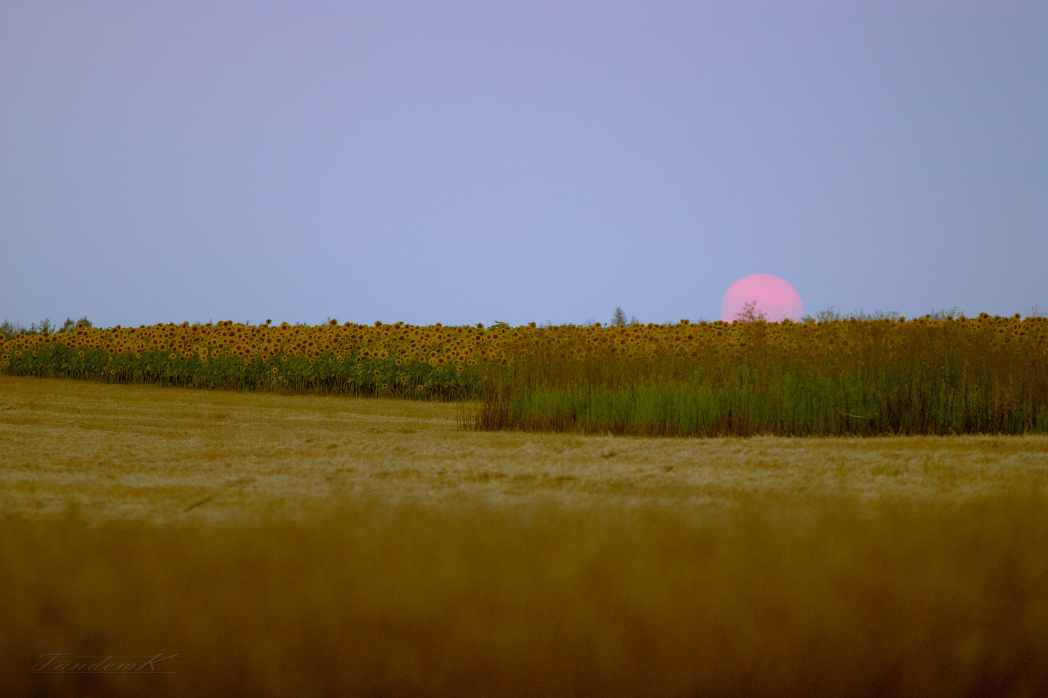 Canon EF 70-200mm F2.8L IS USM sample photo. Slumberous photography