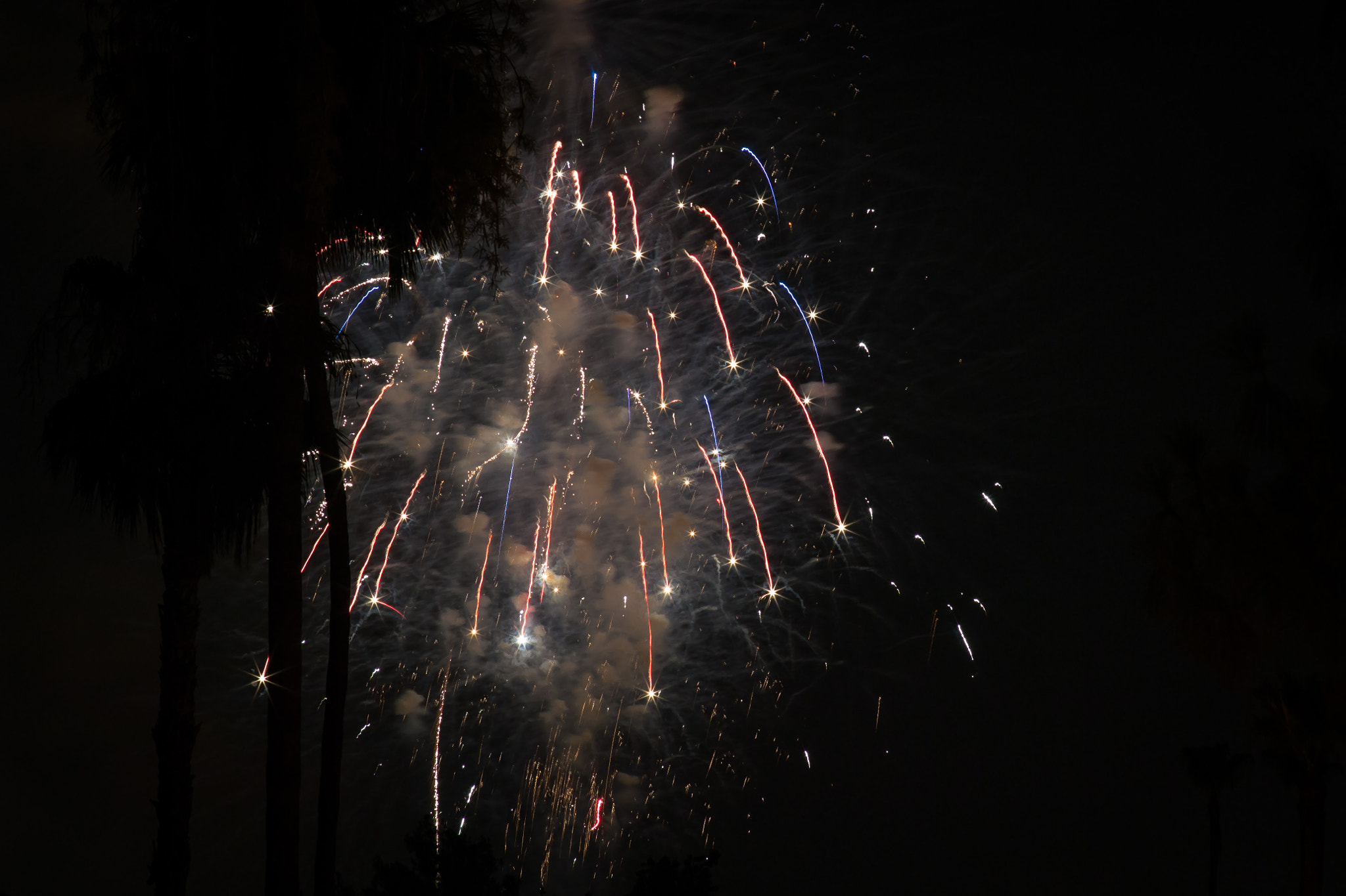 Nikon D3100 + Sigma 85mm F1.4 EX DG HSM sample photo. Dust photography