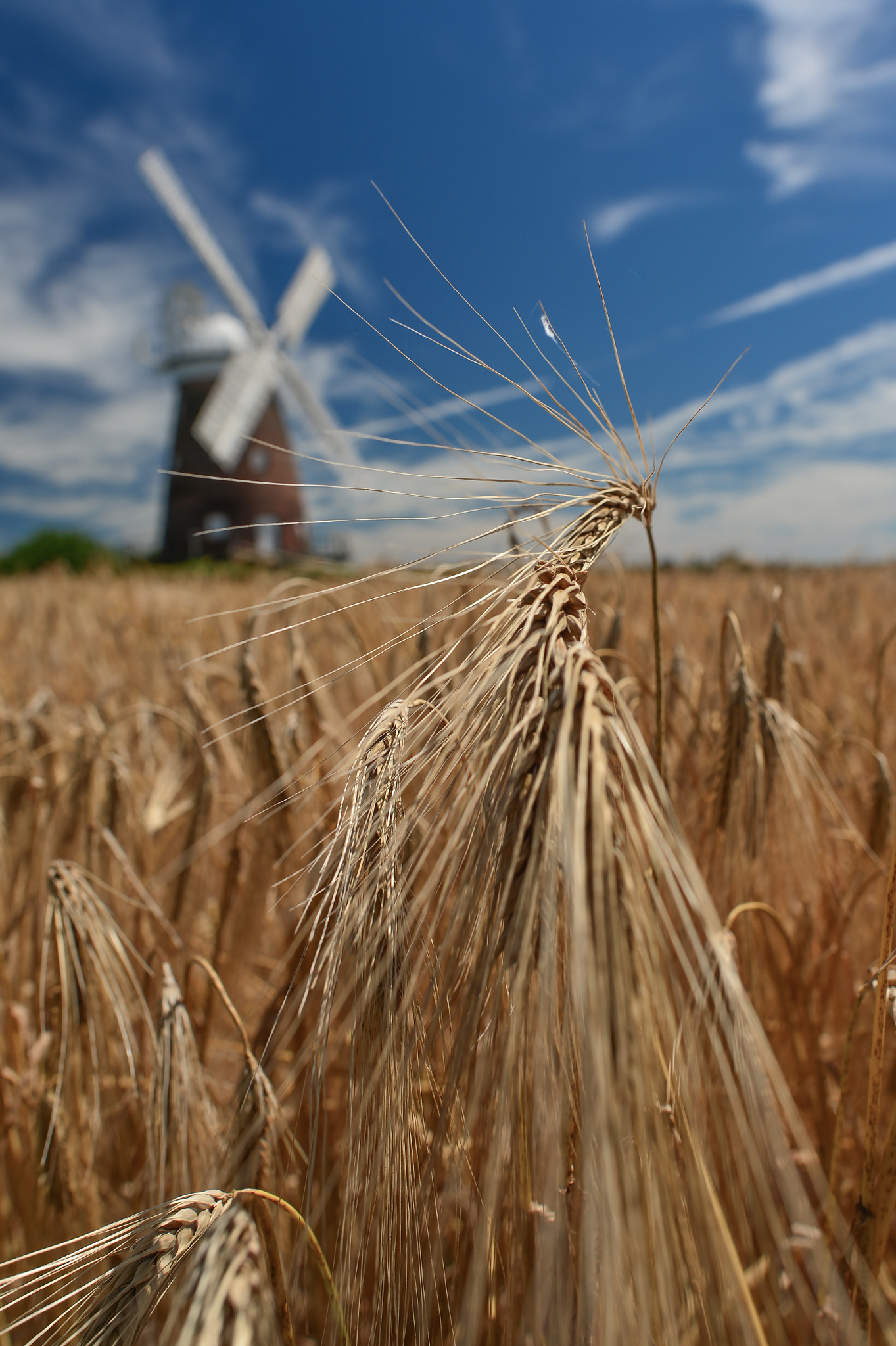 Nikon D4 + Nikon AF-S Nikkor 20mm F1.8G ED sample photo. Thaxted photography