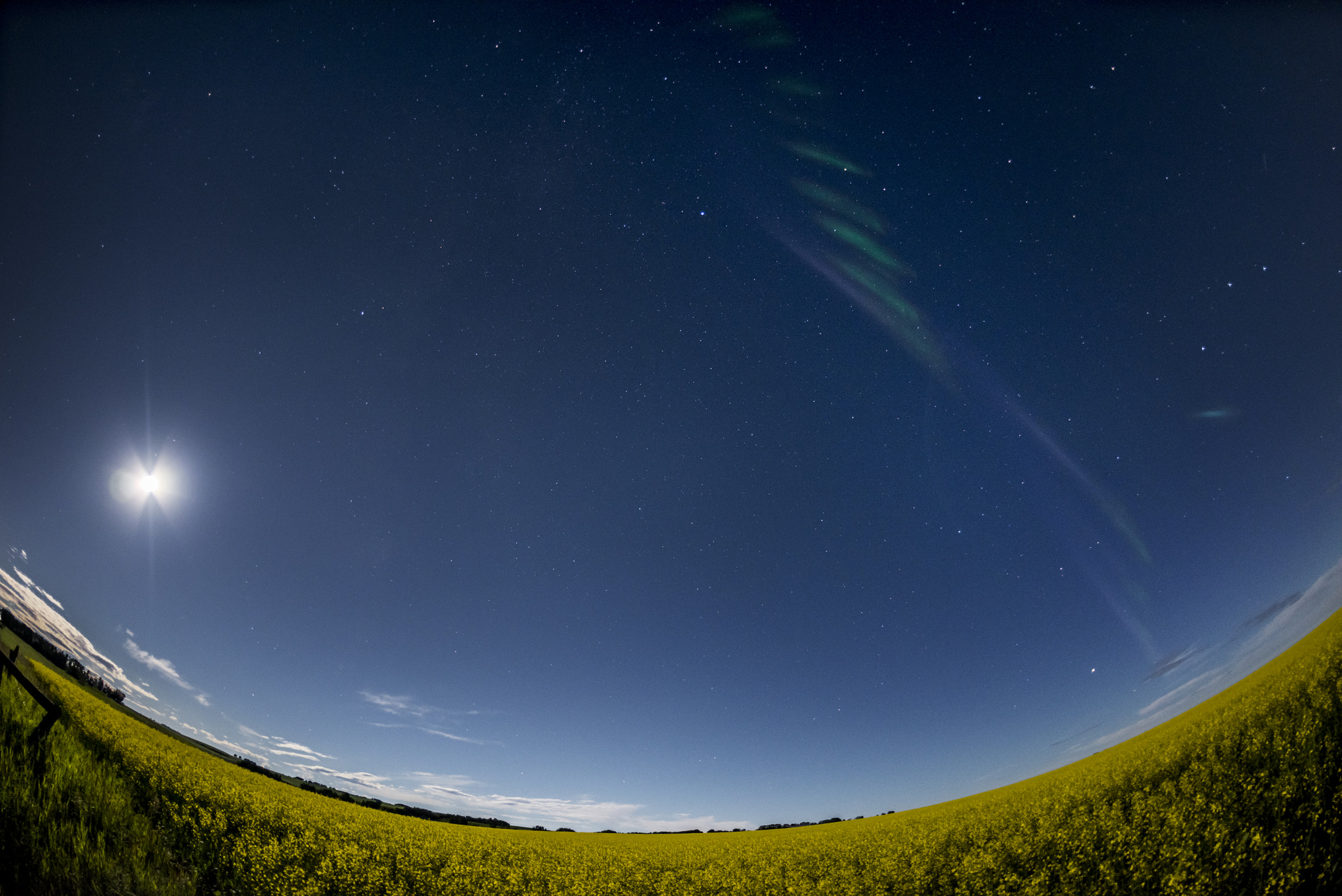 Nikon D810 + Nikon AF Fisheye-Nikkor 16mm F2.8D sample photo. Isolated proton arc in alberta photography