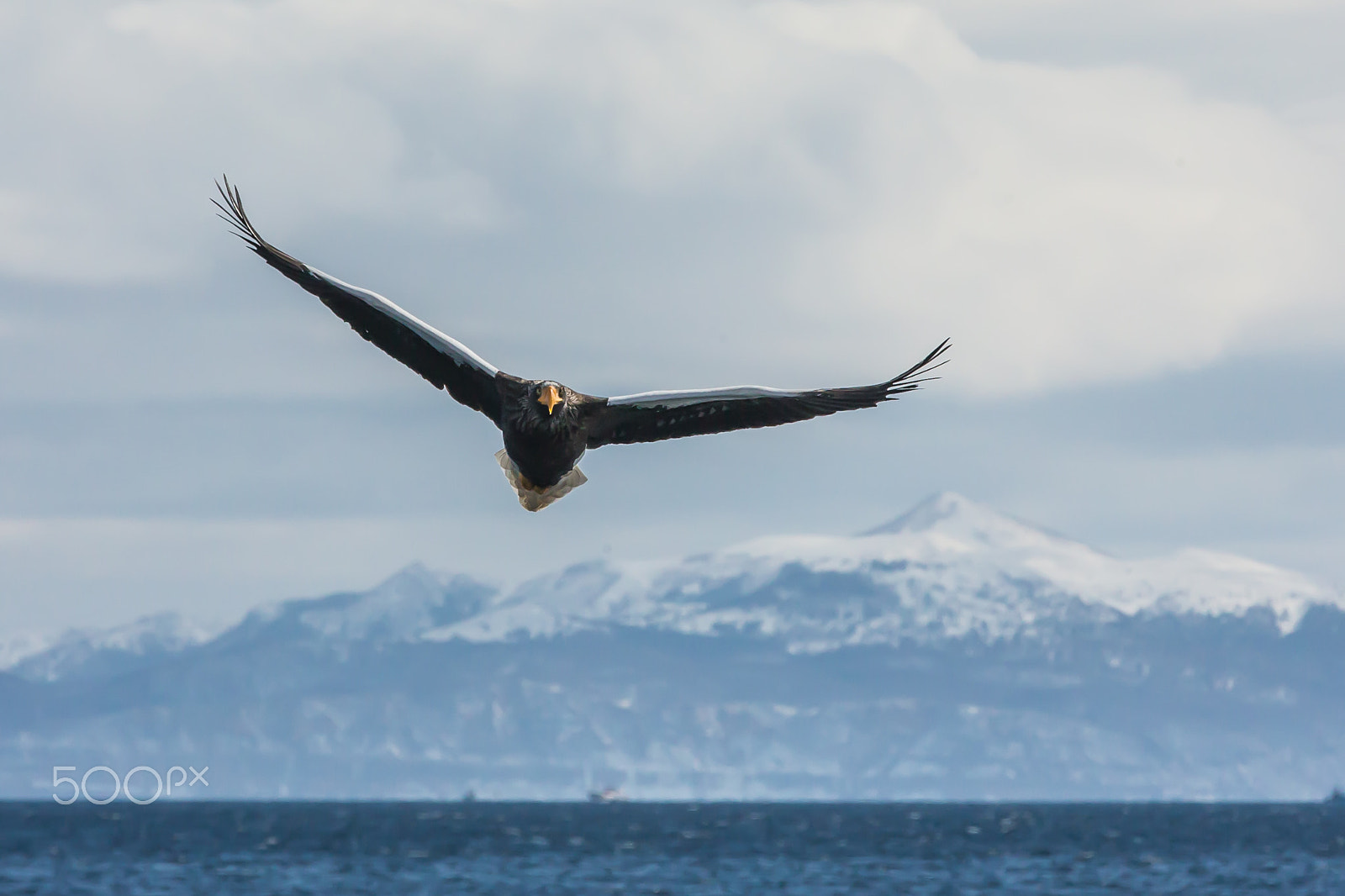 Canon EOS-1D X sample photo. Flying photography
