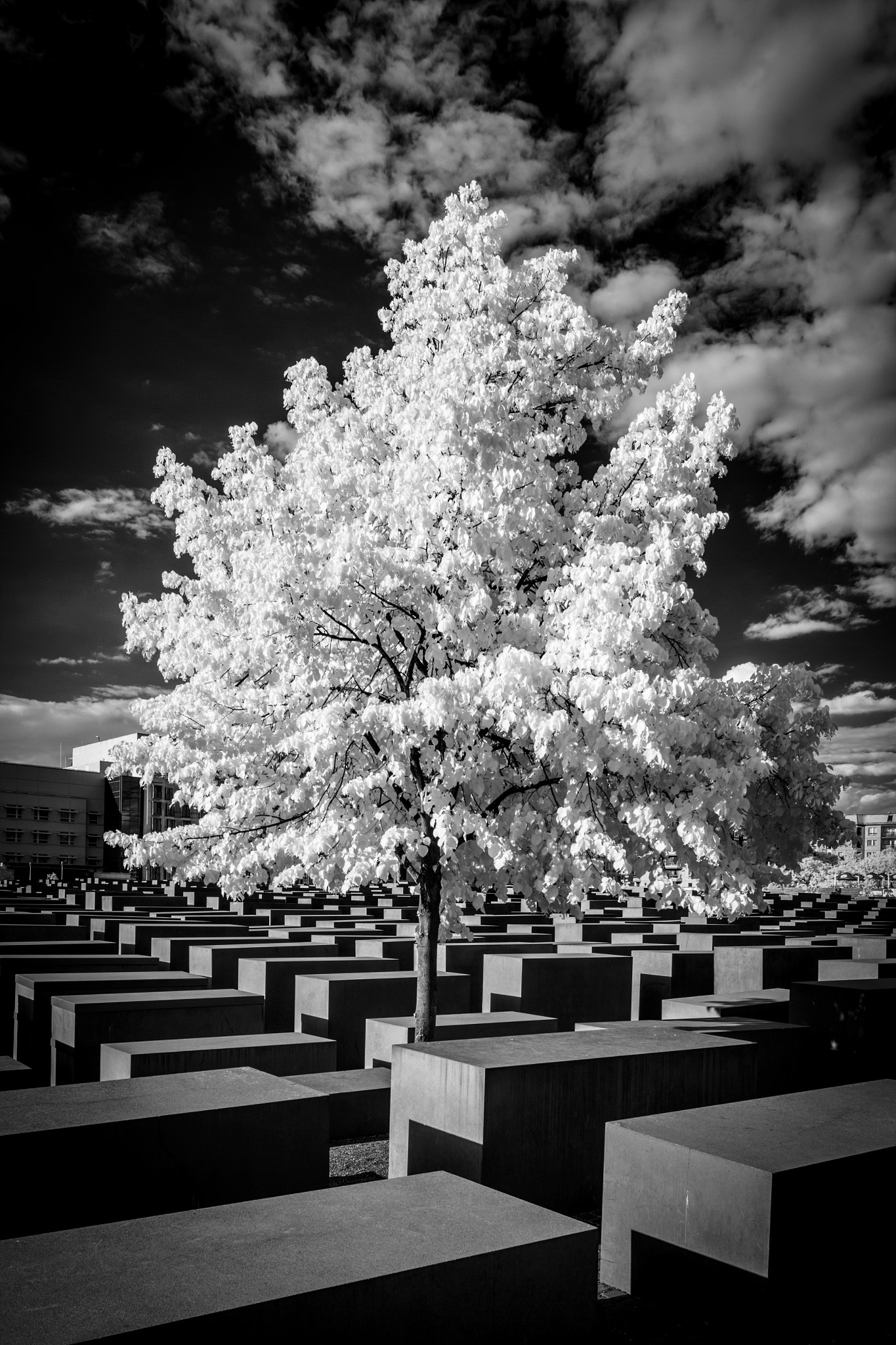 Canon TS-E 17mm F4L Tilt-Shift sample photo. Berlin jewish memorial photography