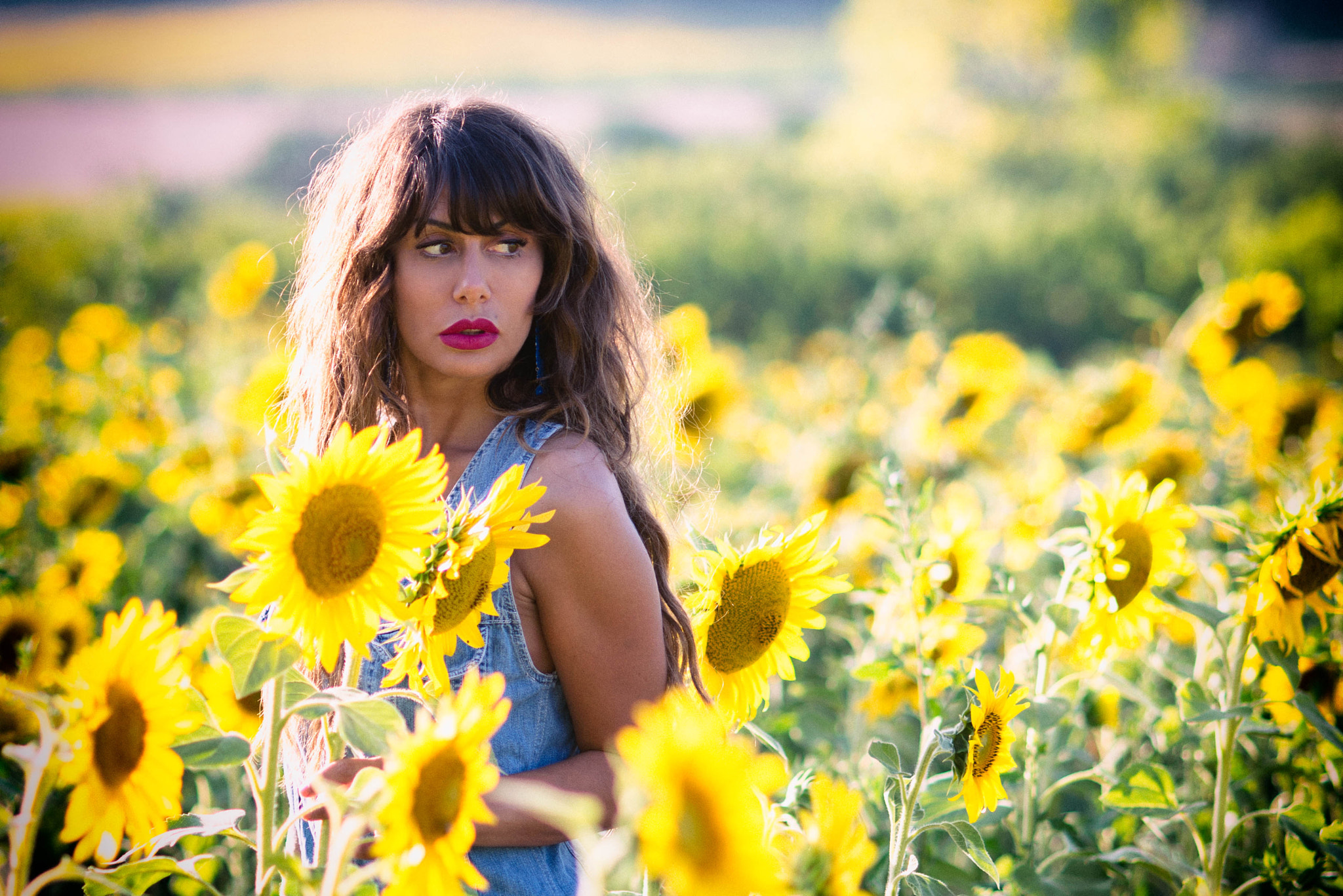 Nikon D610 + Nikon AF Nikkor 105mm F2D DC sample photo. Sunflowers photography