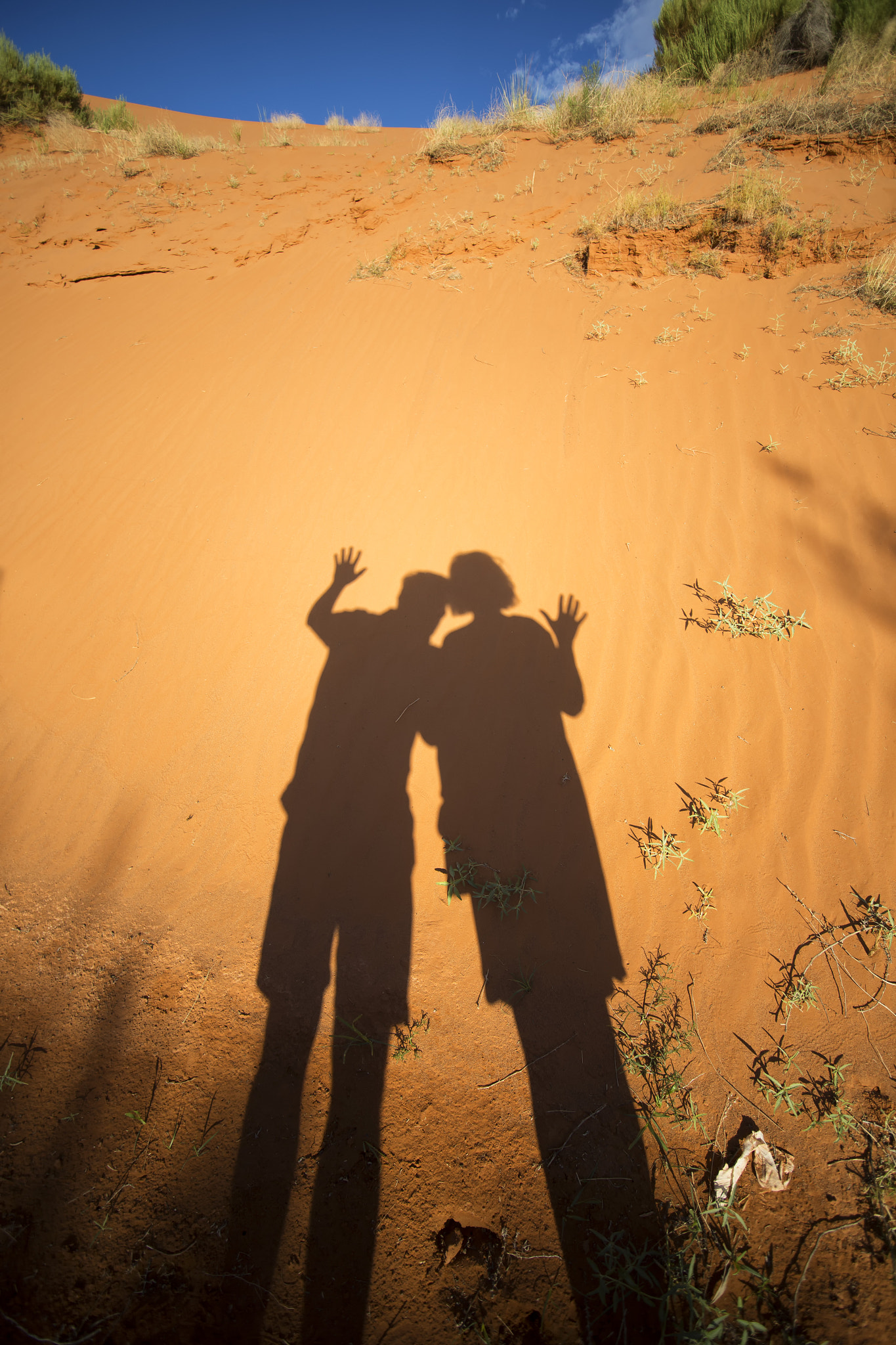 Canon EOS 6D + Sigma 15-30mm f/3.5-4.5 EX DG Aspherical sample photo. Shadows in the desert photography