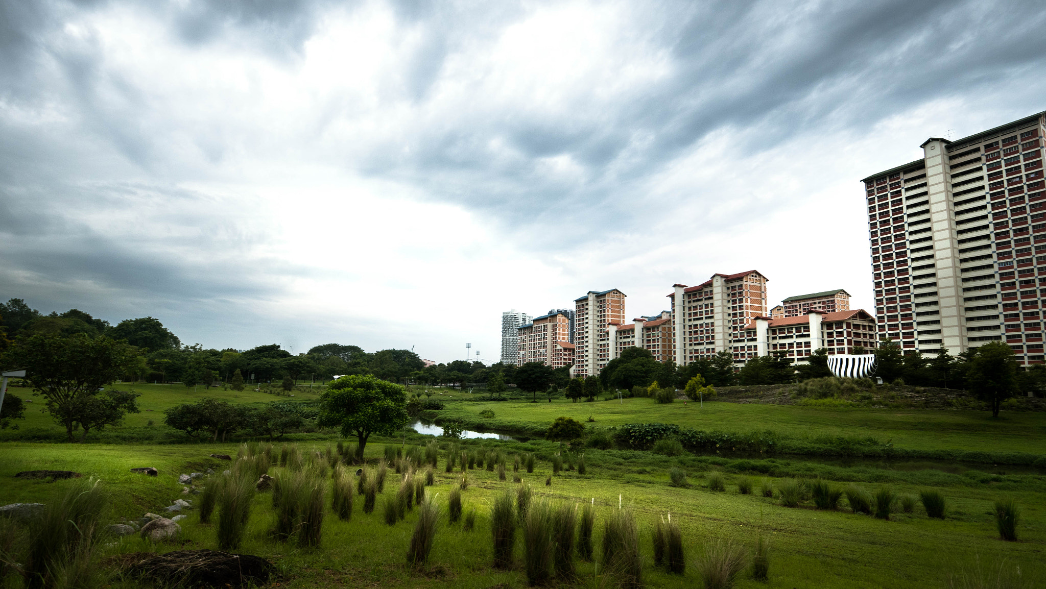 Panasonic Lumix DMC-GX8 + OLYMPUS M.9-18mm F4.0-5.6 sample photo. Singapore bishan park photography