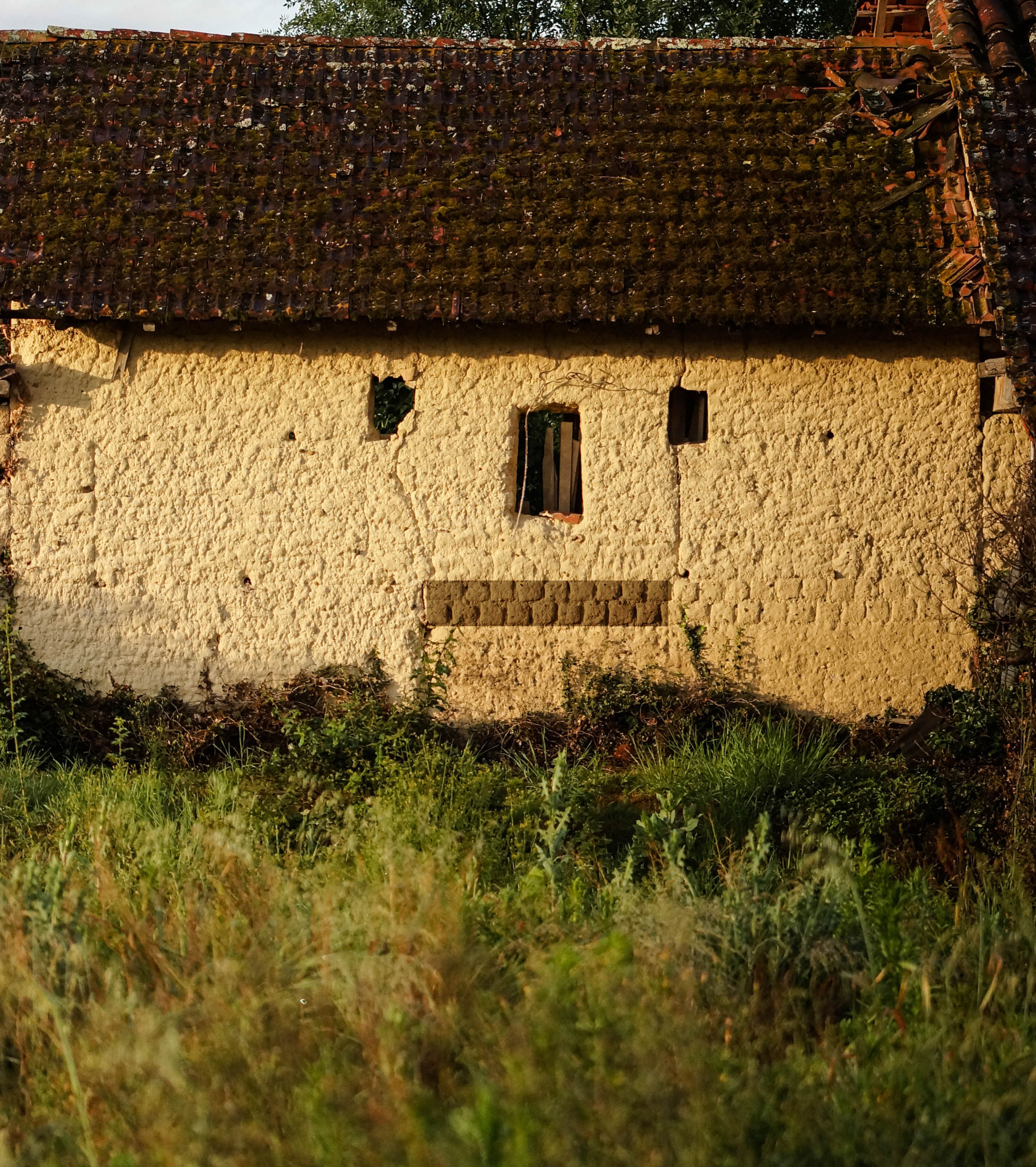 Sony SLT-A57 + 105mm F2.8 sample photo. Skull house photography