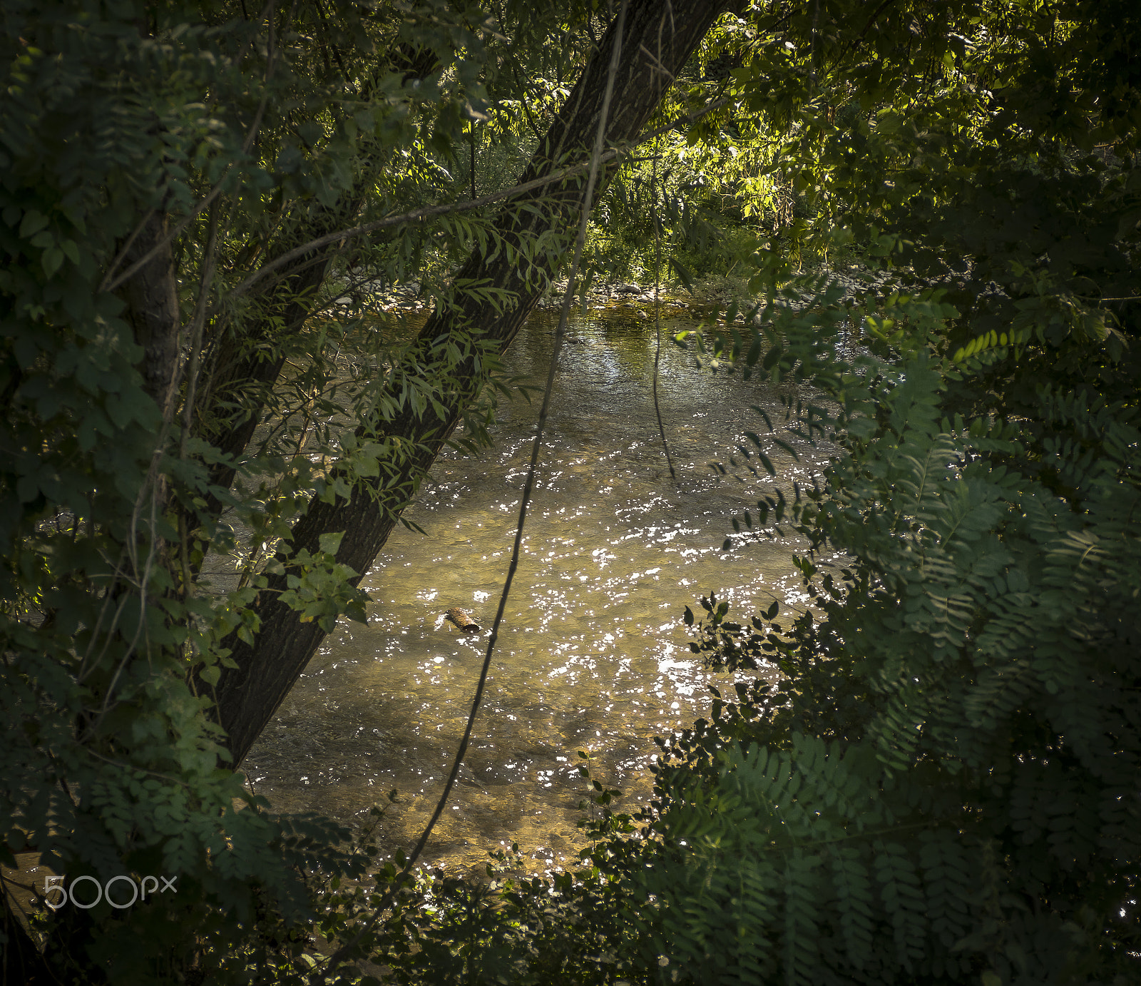 Pentax K-3 sample photo. Shiny water photography